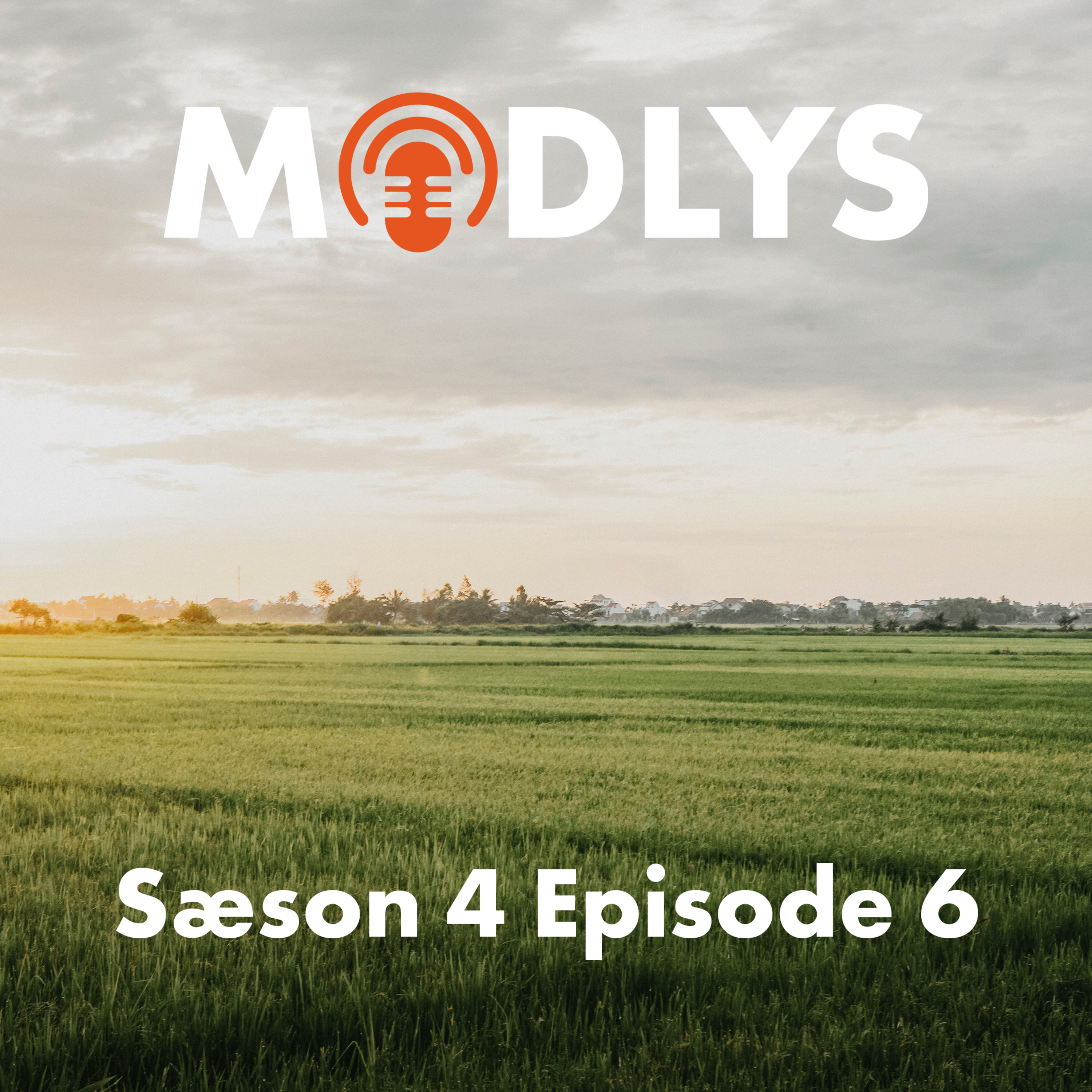S4E6: Snydt i sodavands-shoppen episode artwork