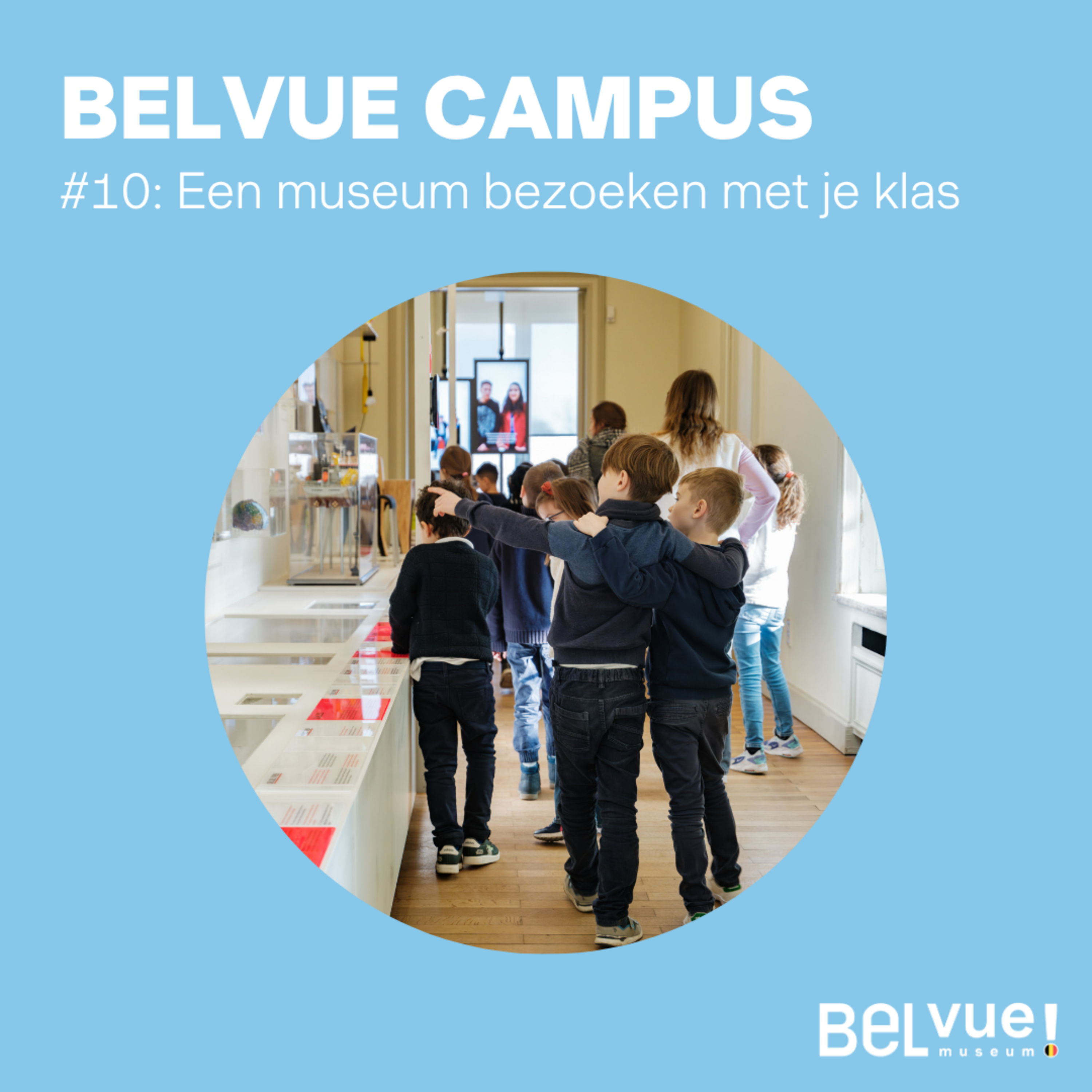 BELvue Campus - in het Nederlands