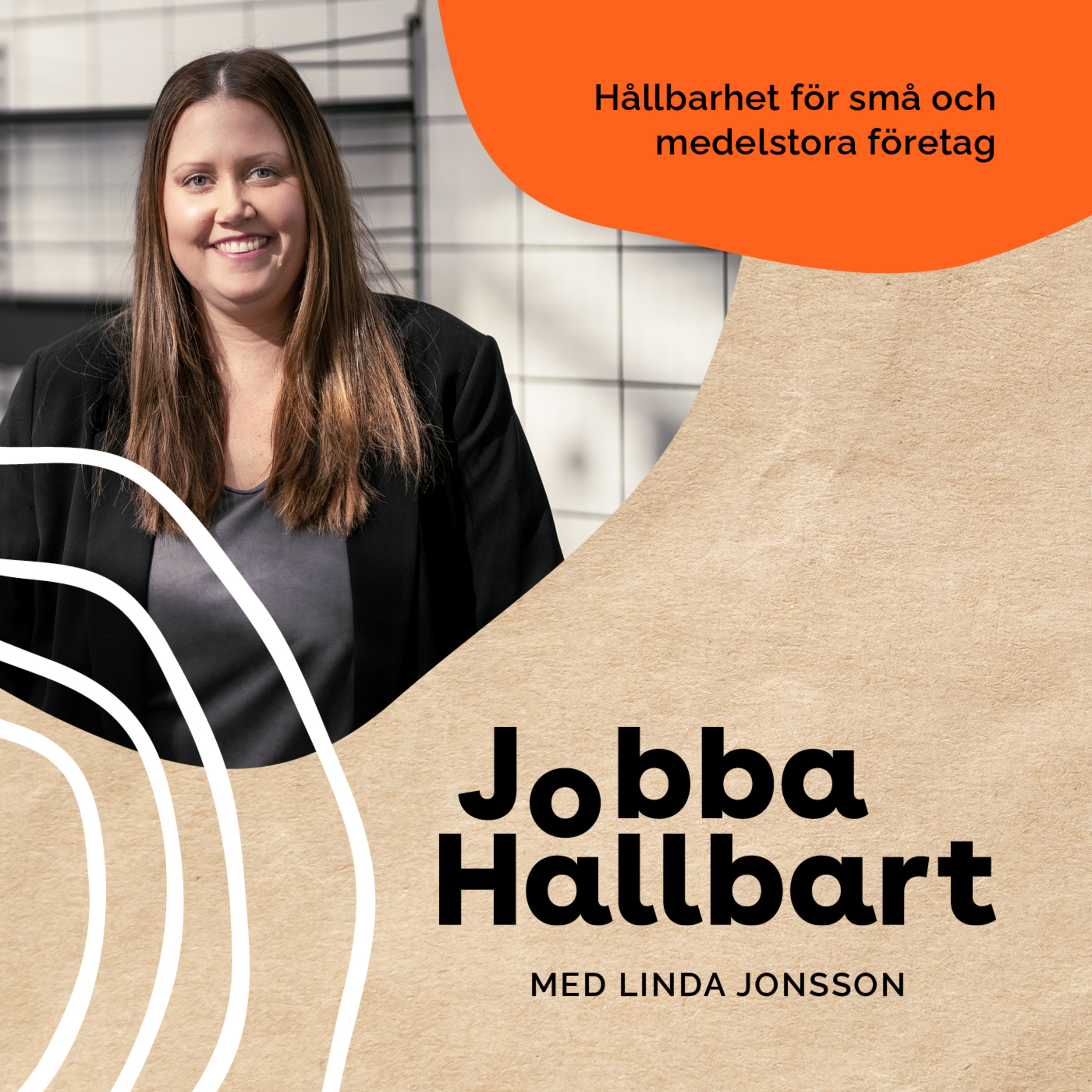 1. Hållbarhet - den korta och konkreta versionen episode artwork