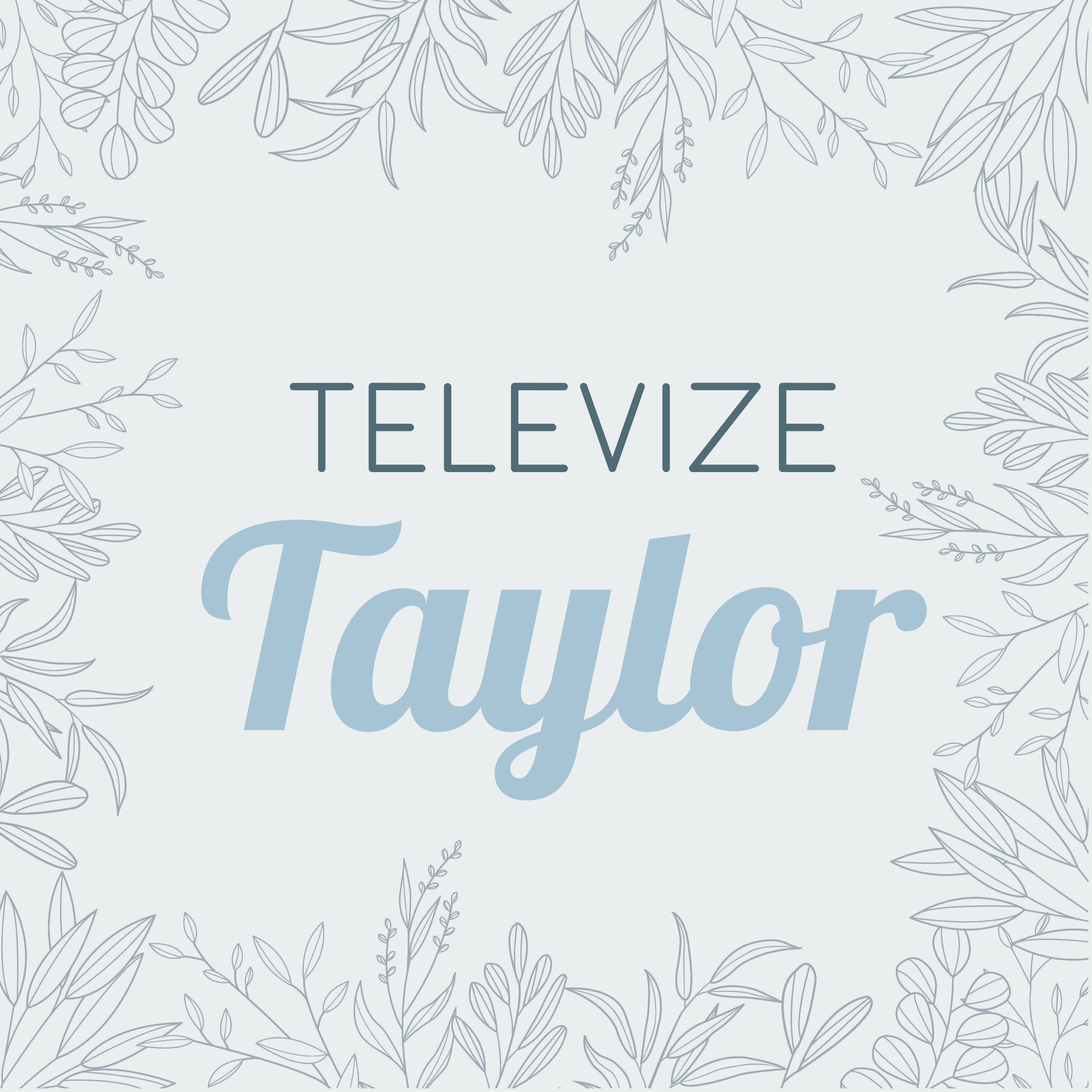 Televize Taylor