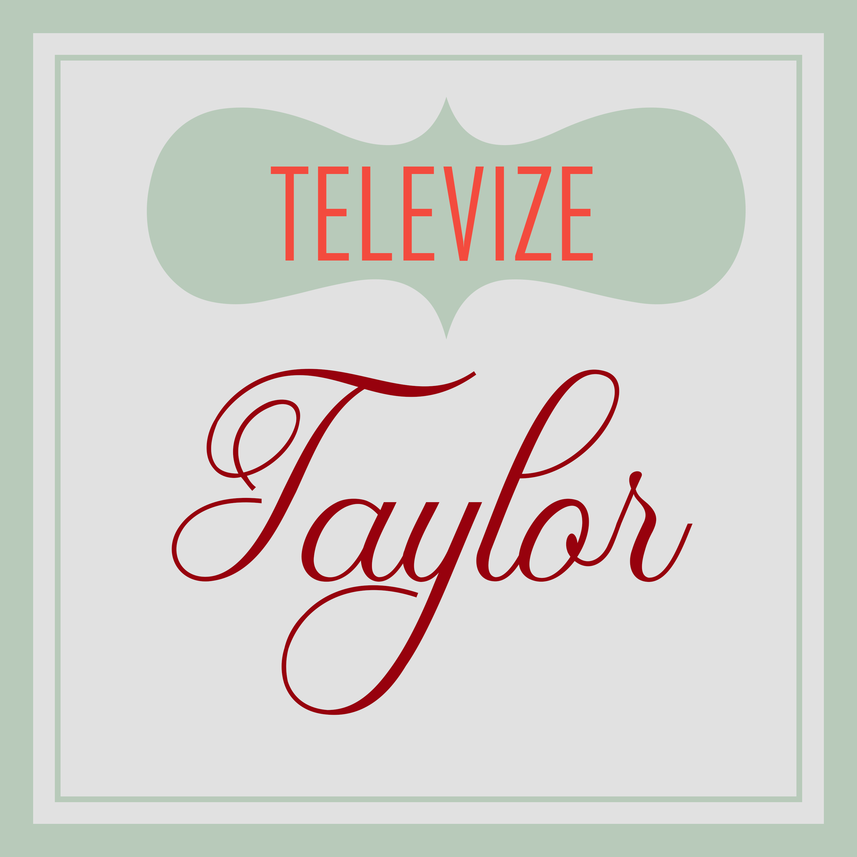 Televize Taylor