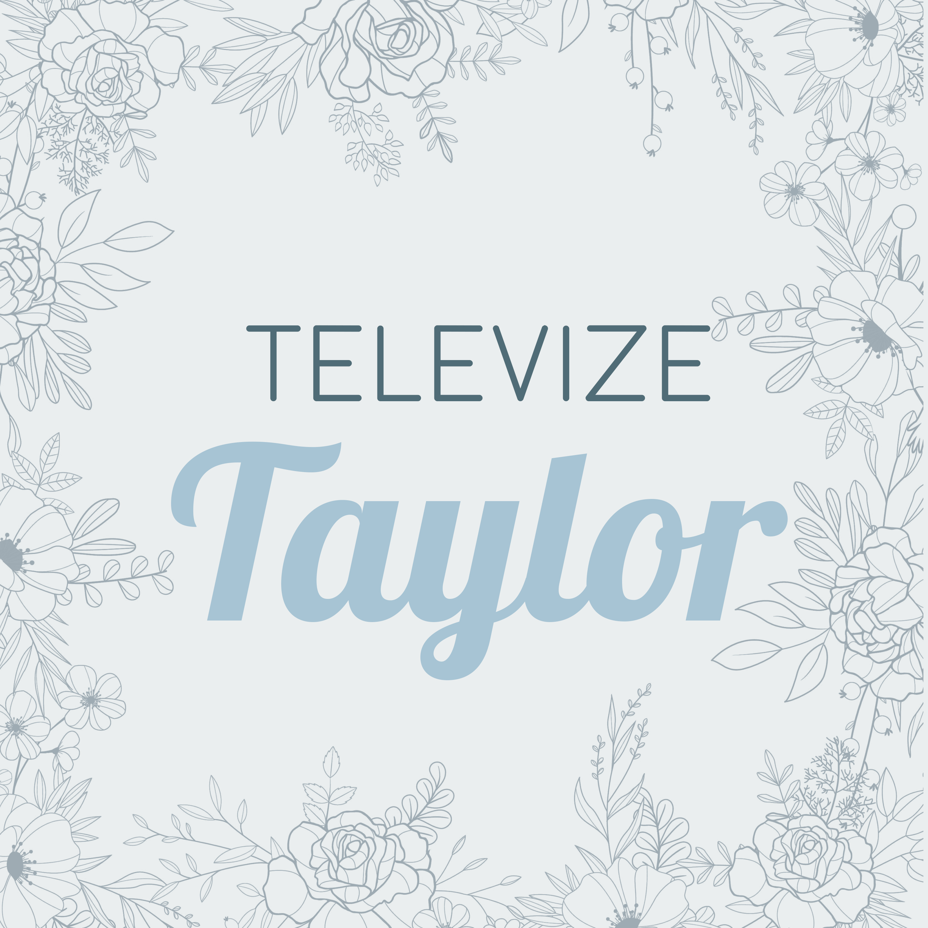 Televize Taylor