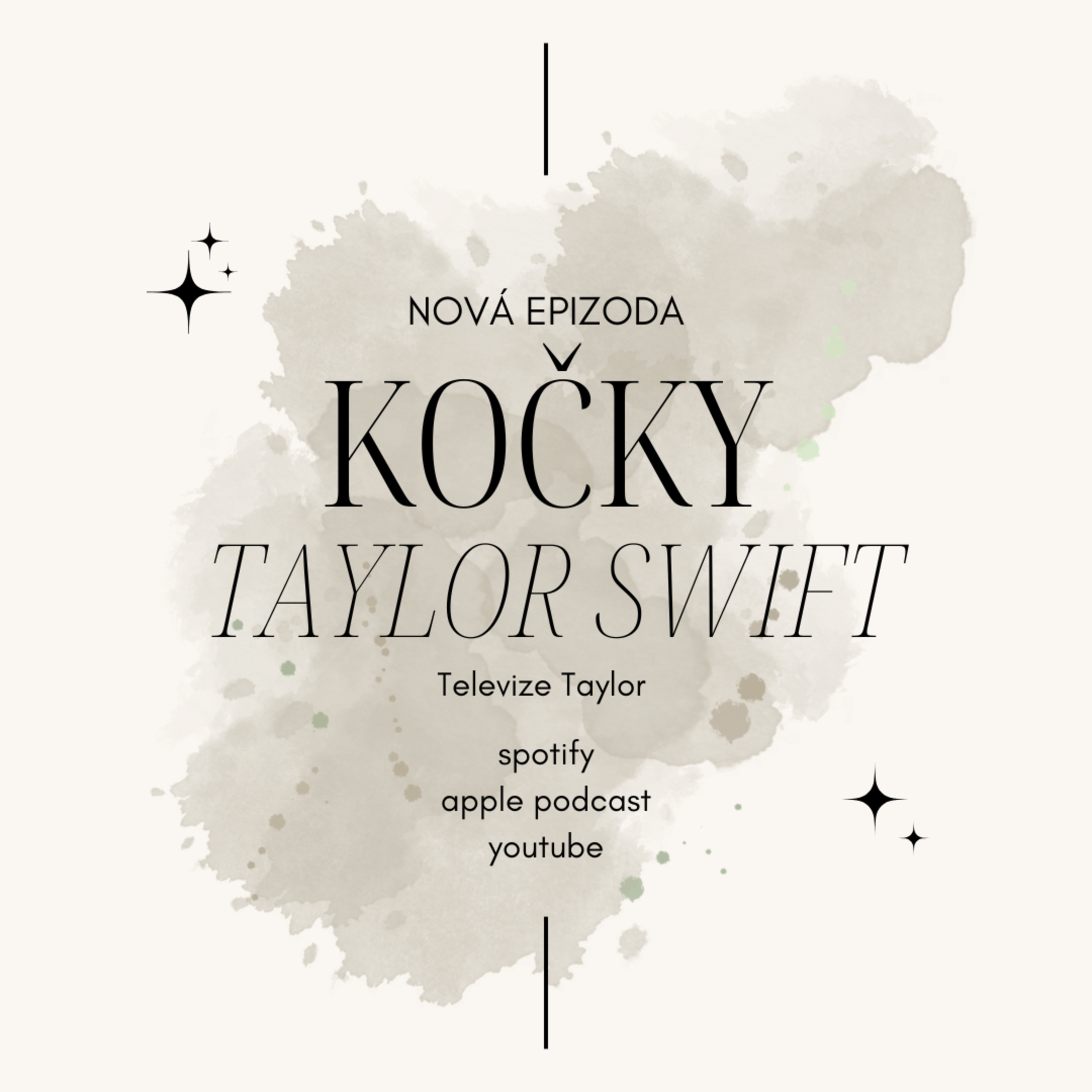 Televize Taylor