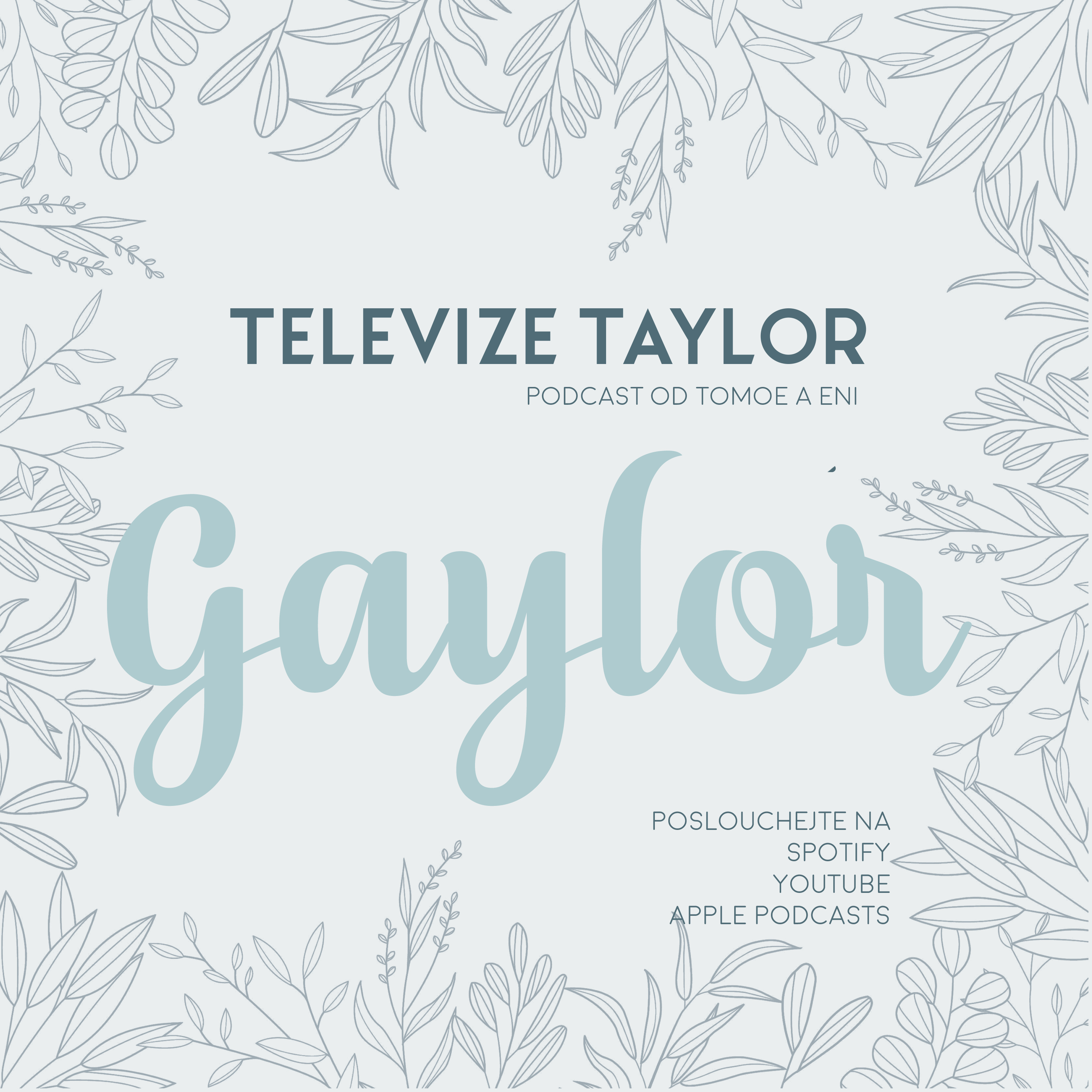 Televize Taylor
