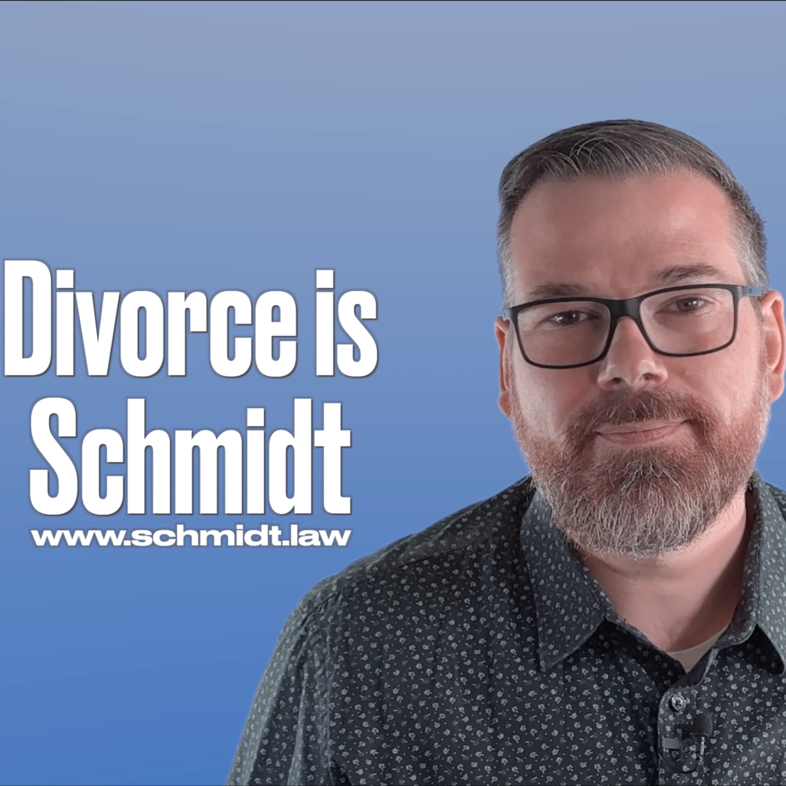Divorce is Schmidt: A Family Law Series (Audio-only version)