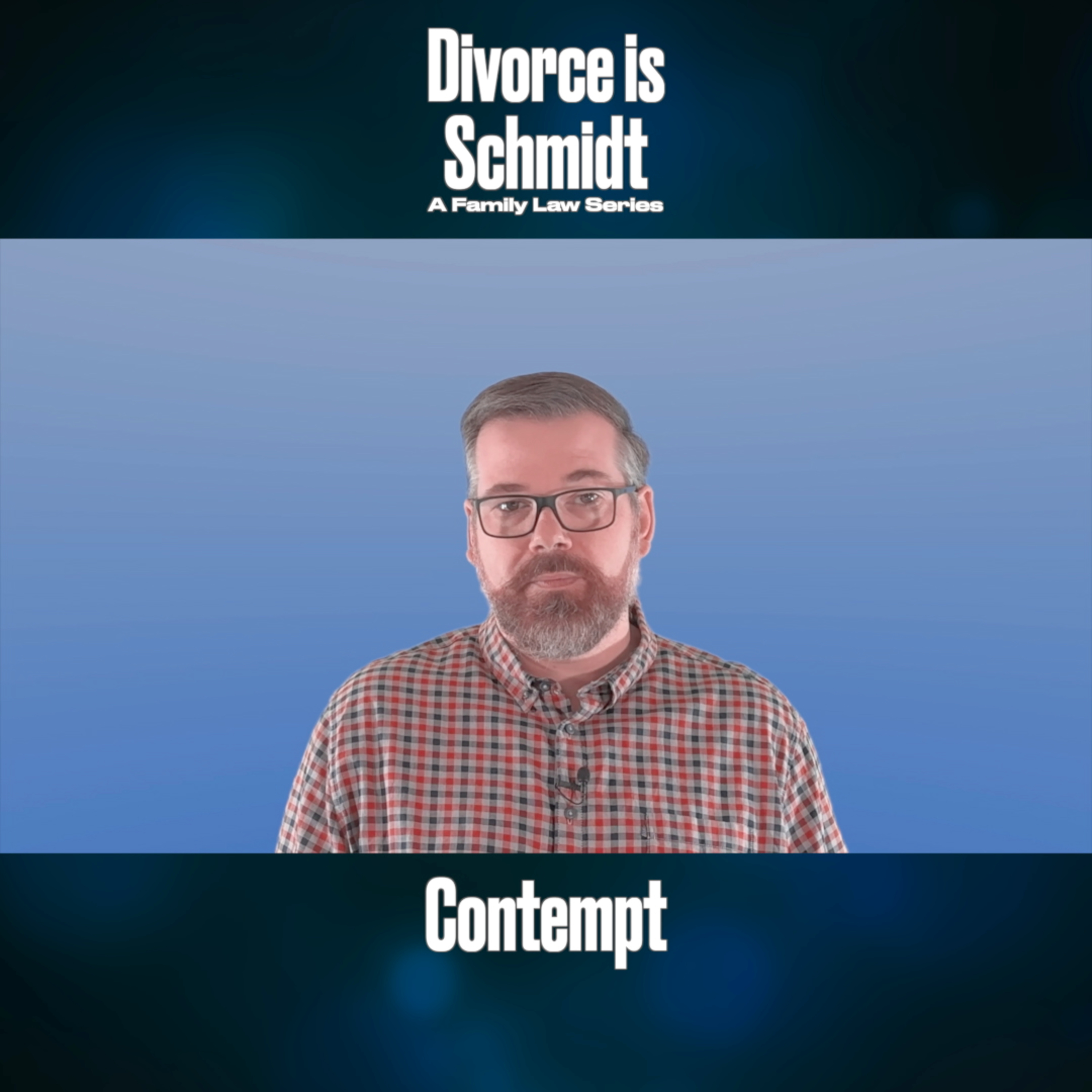 Divorce is Schmidt: A Family Law Series (Audio-only version)
