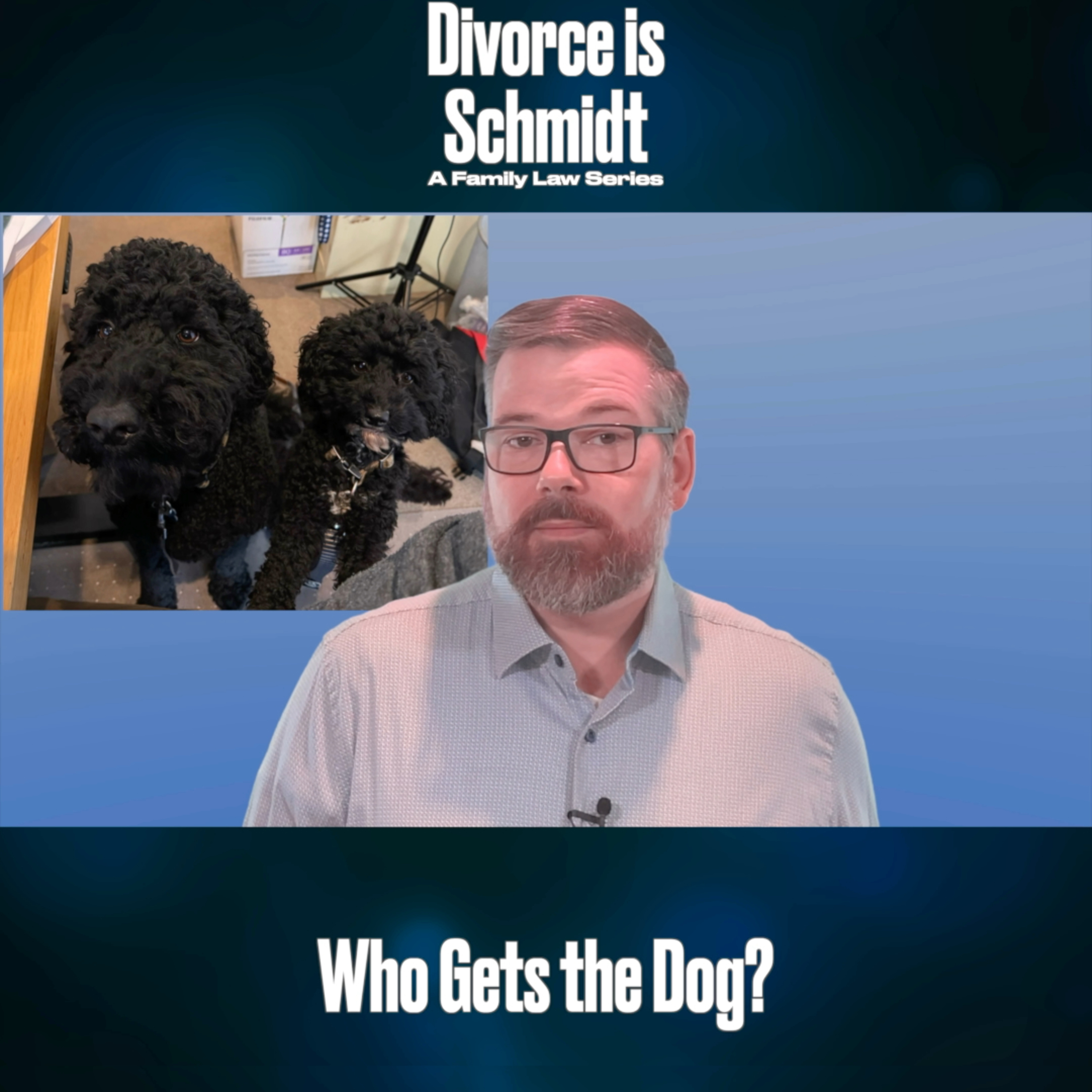 Divorce is Schmidt: A Family Law Series (Audio-only version)