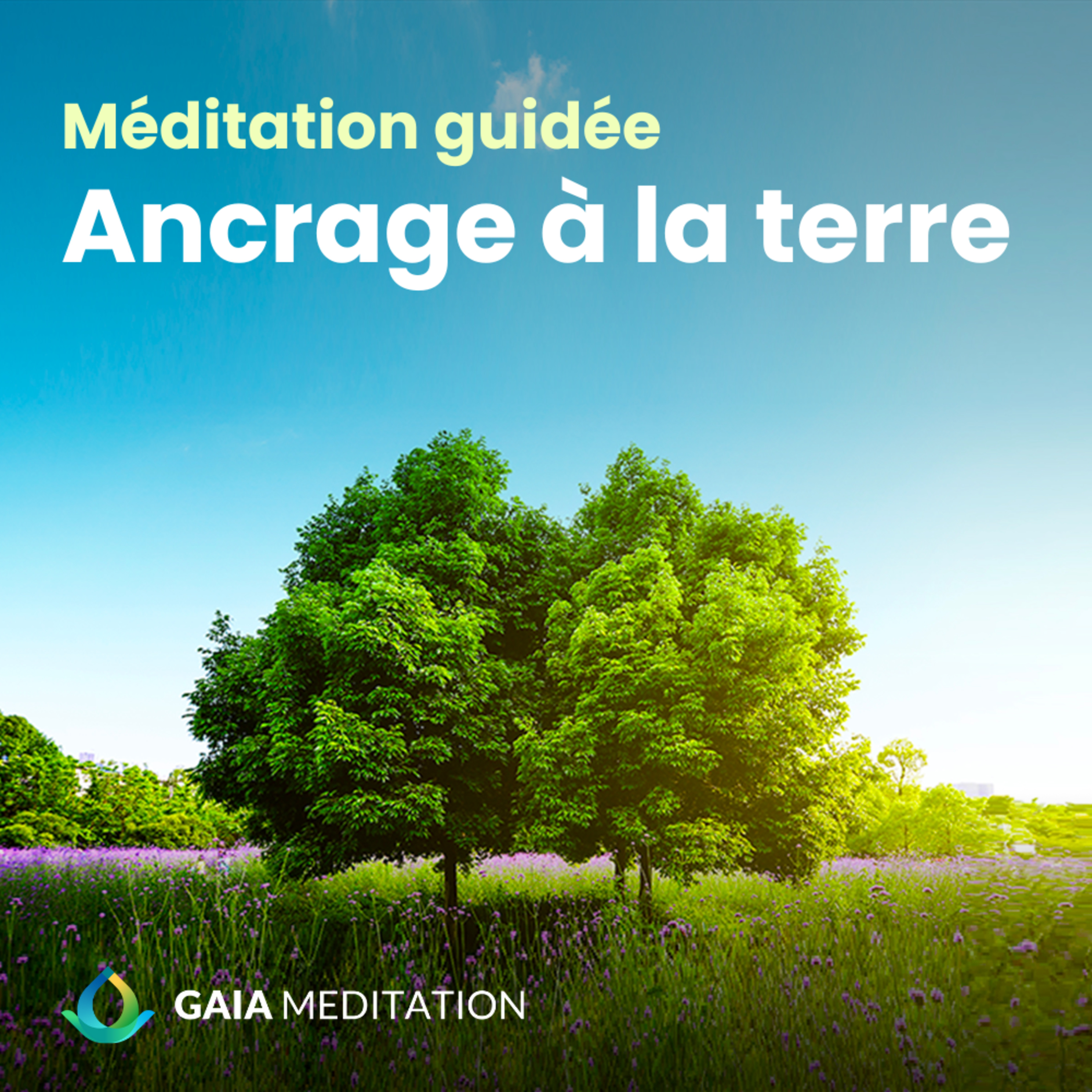 Ancrage à la terre - Méditation guidée episode artwork