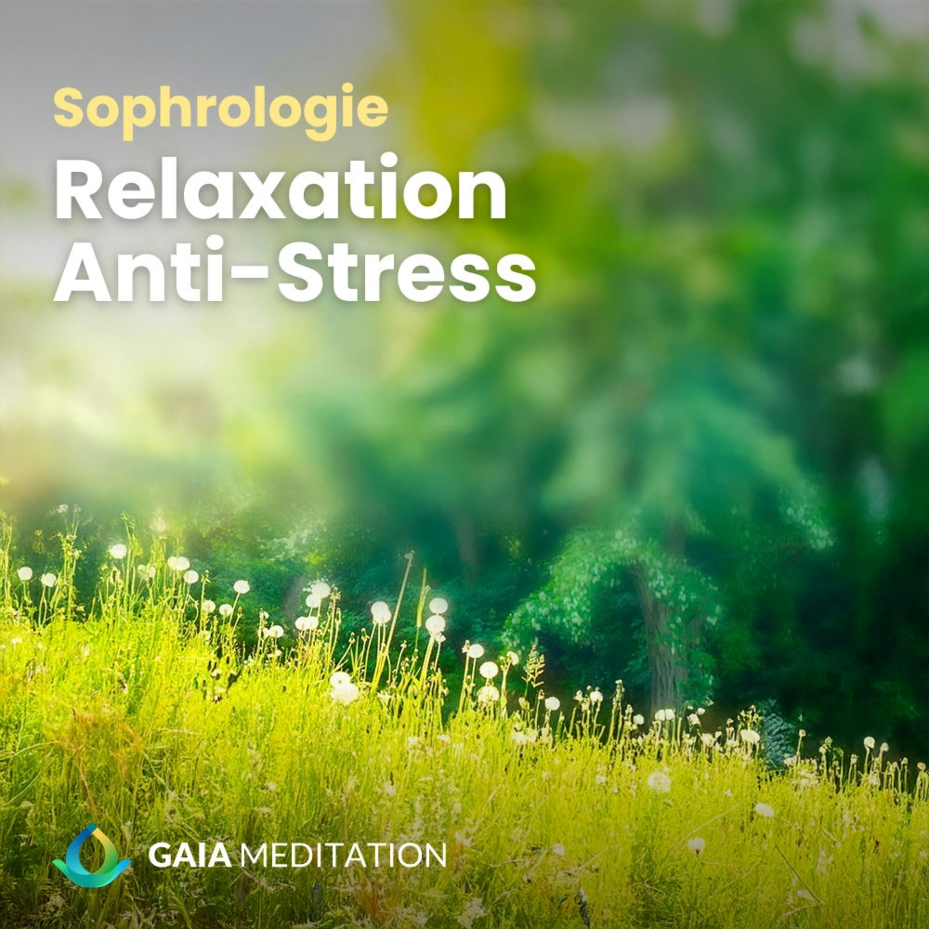 Sophrologie - Relaxation (anti stress) Sophrologie - Relaxation (anti stress)