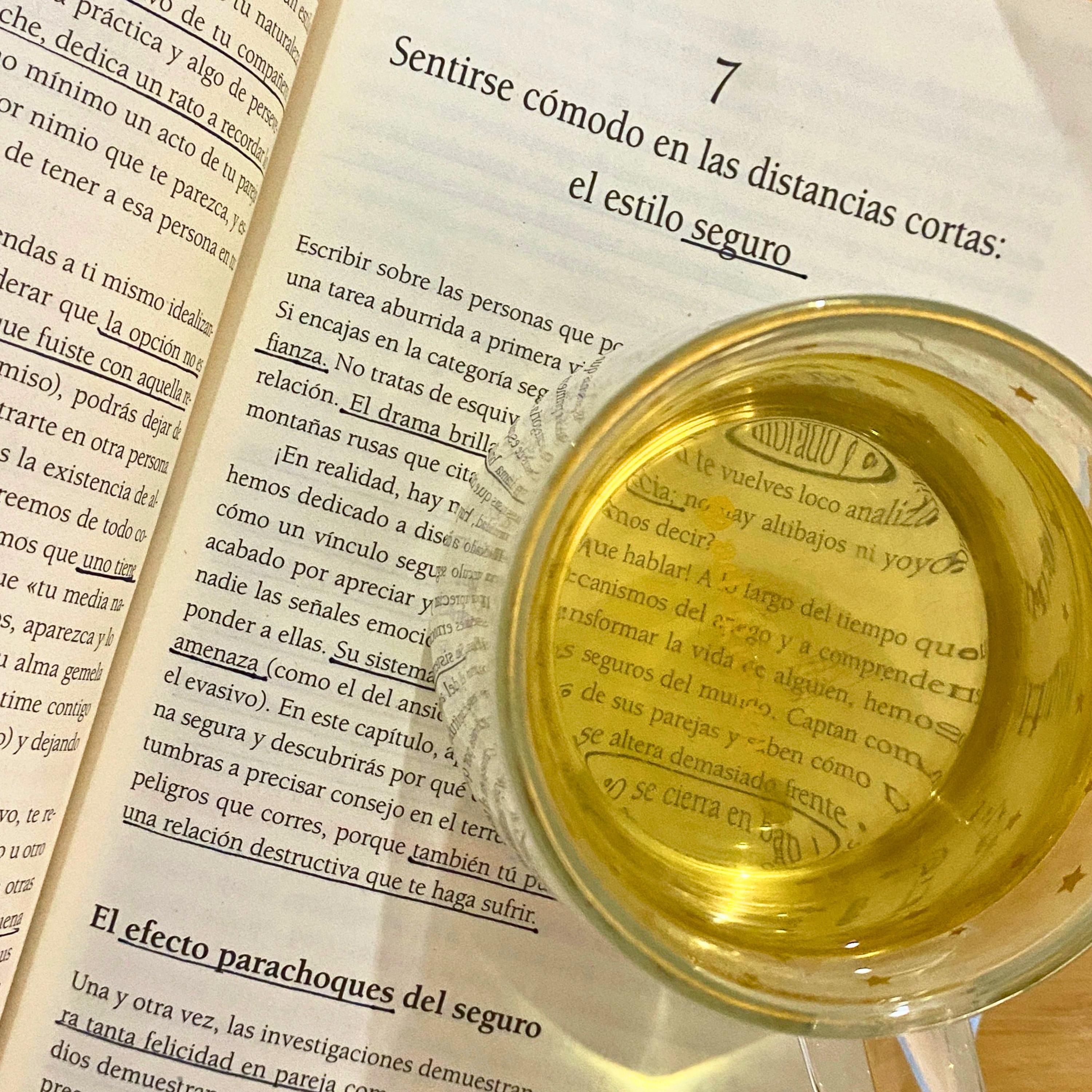 Estilo de apego SEGURO y sus herramientas clave. Parte VI del libro Maneras de Amar.