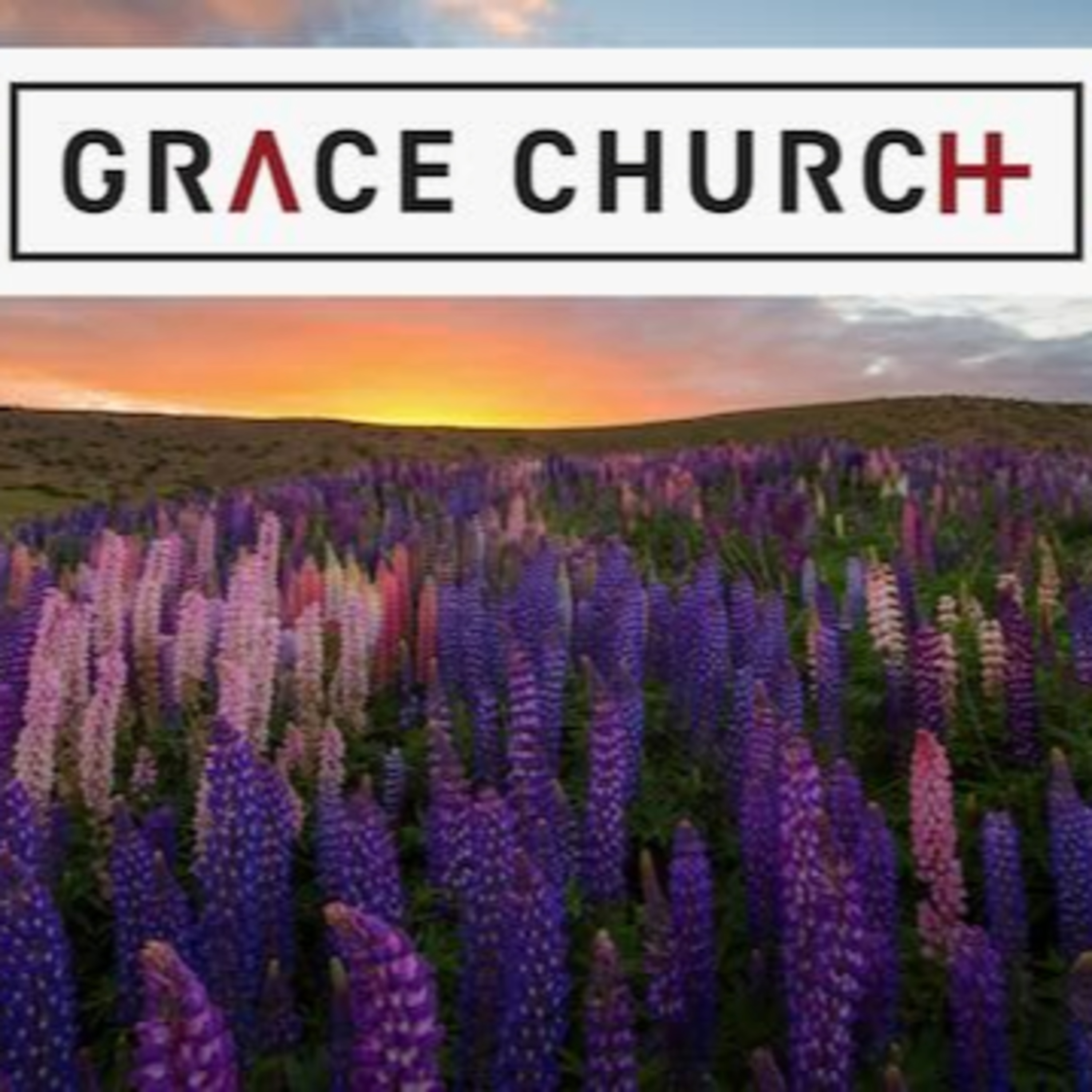 The Ten Commands of True Humility episode artwork