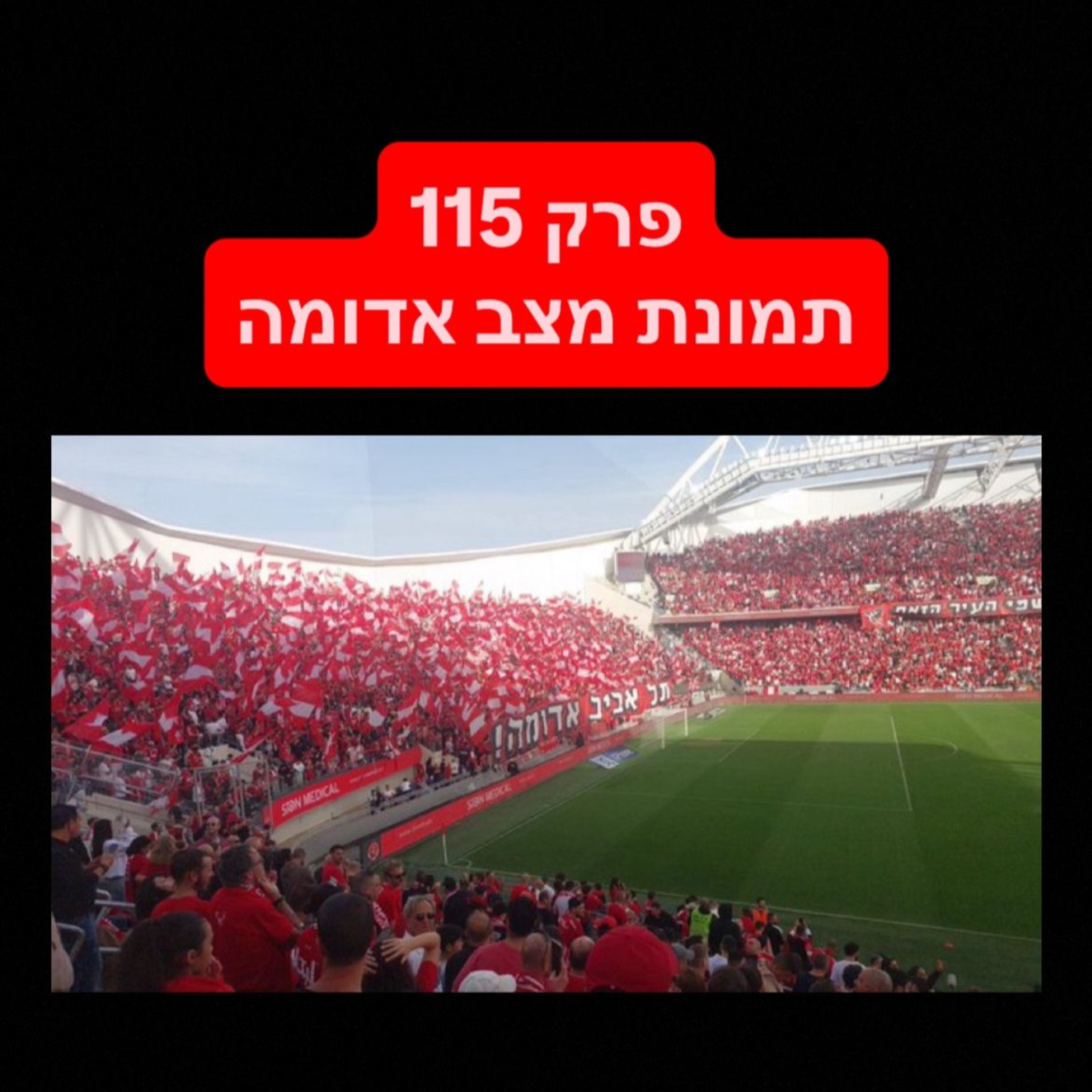 פרק 115 - תמונת מצב אדומה episode artwork