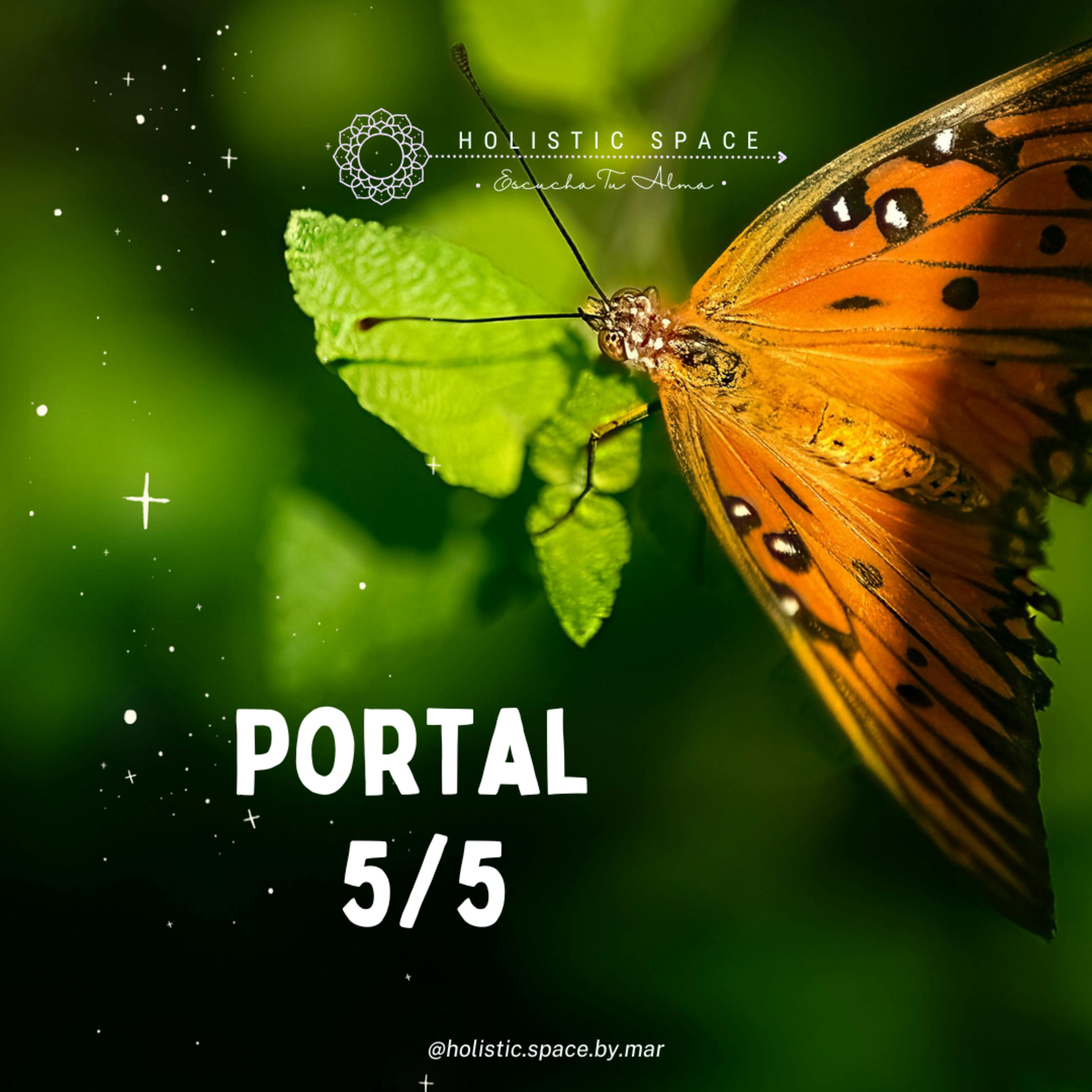 Portal 5 del 5