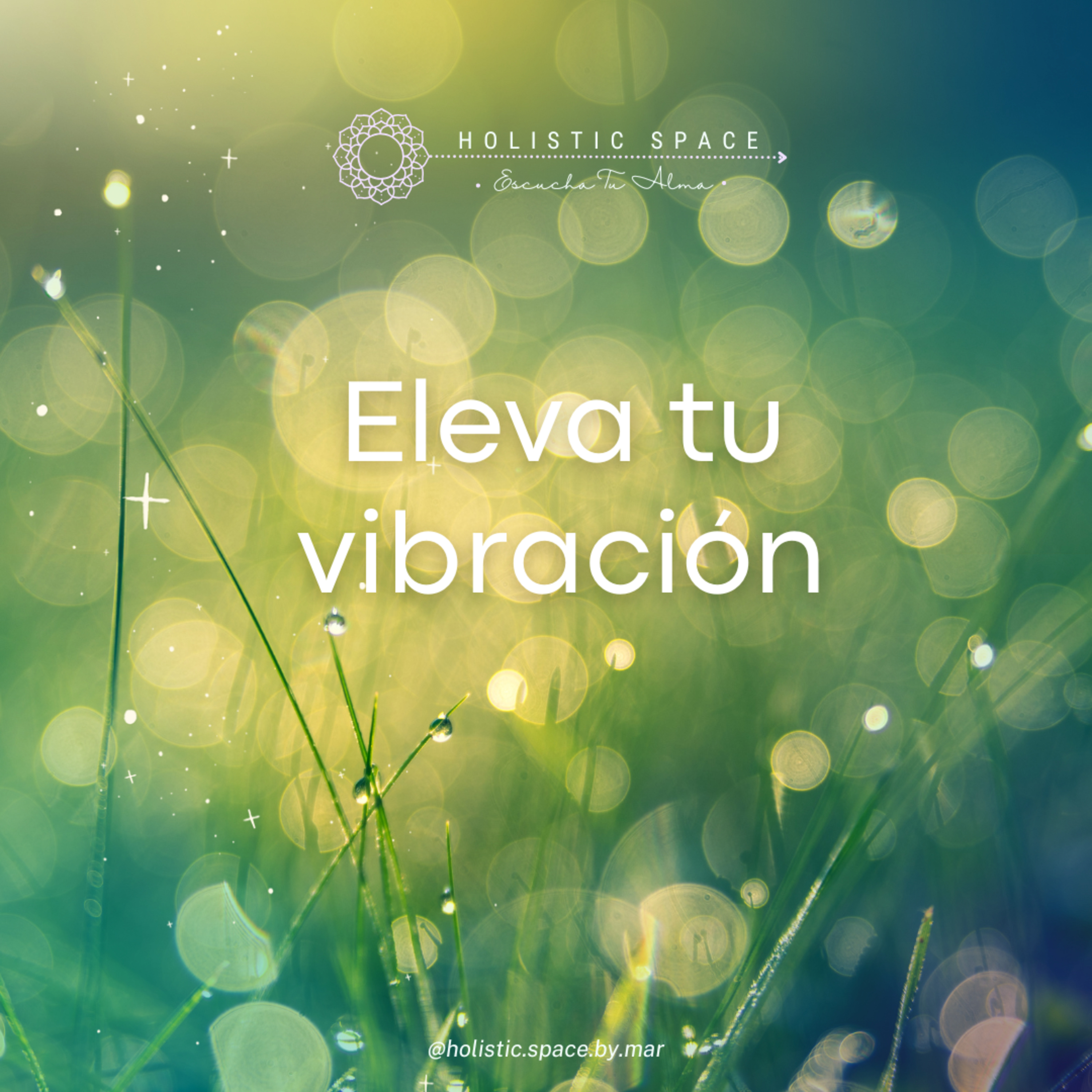 Eleva tu vibración
