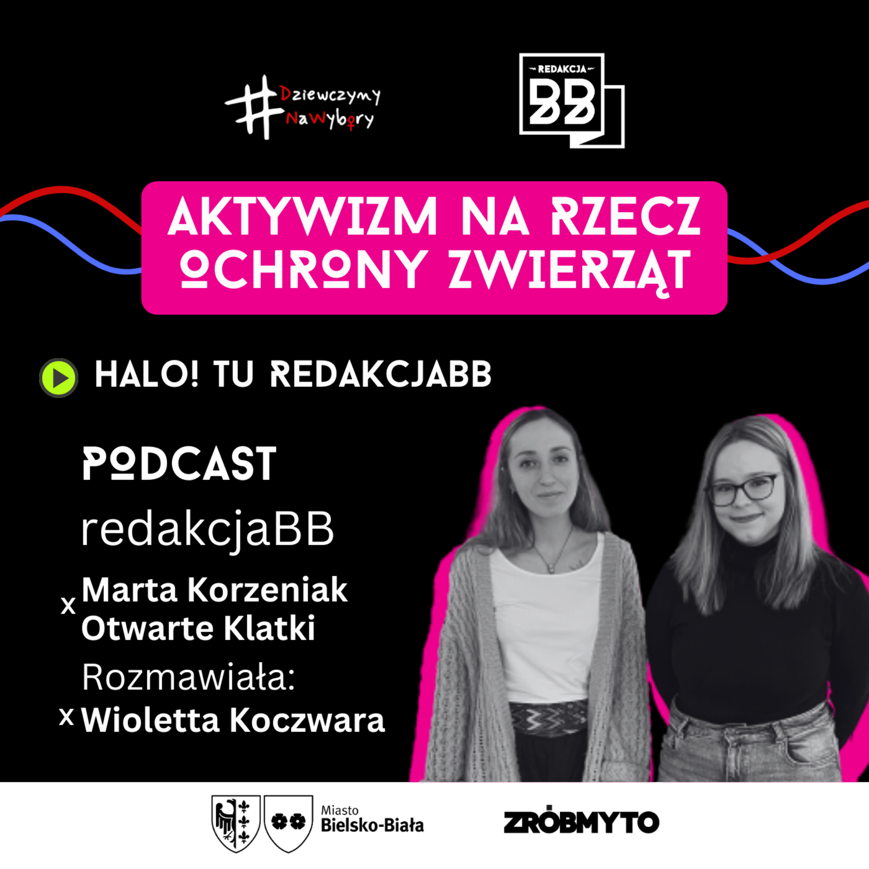 Aktywizm na rzecz ochrony zwierząt