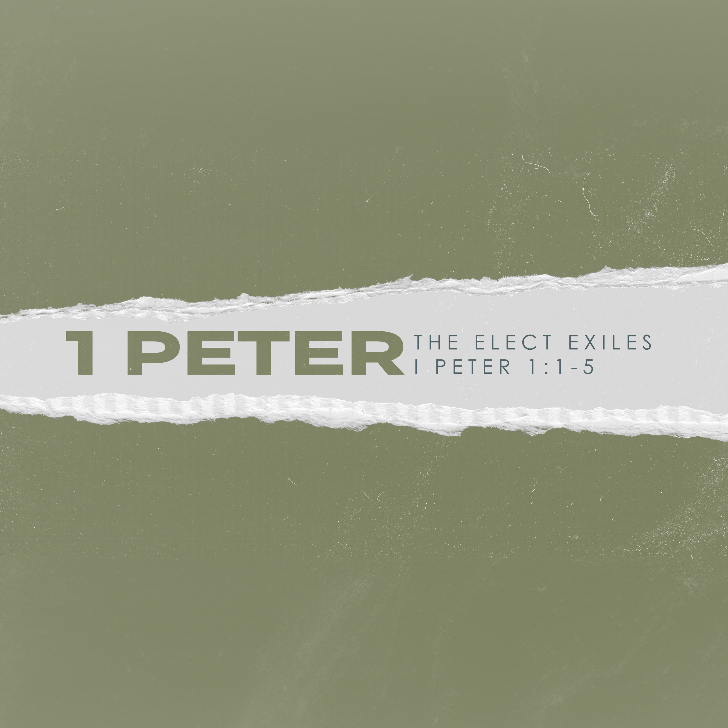 I Peter Part I: The Elect Exiles | August 11th episode artwork