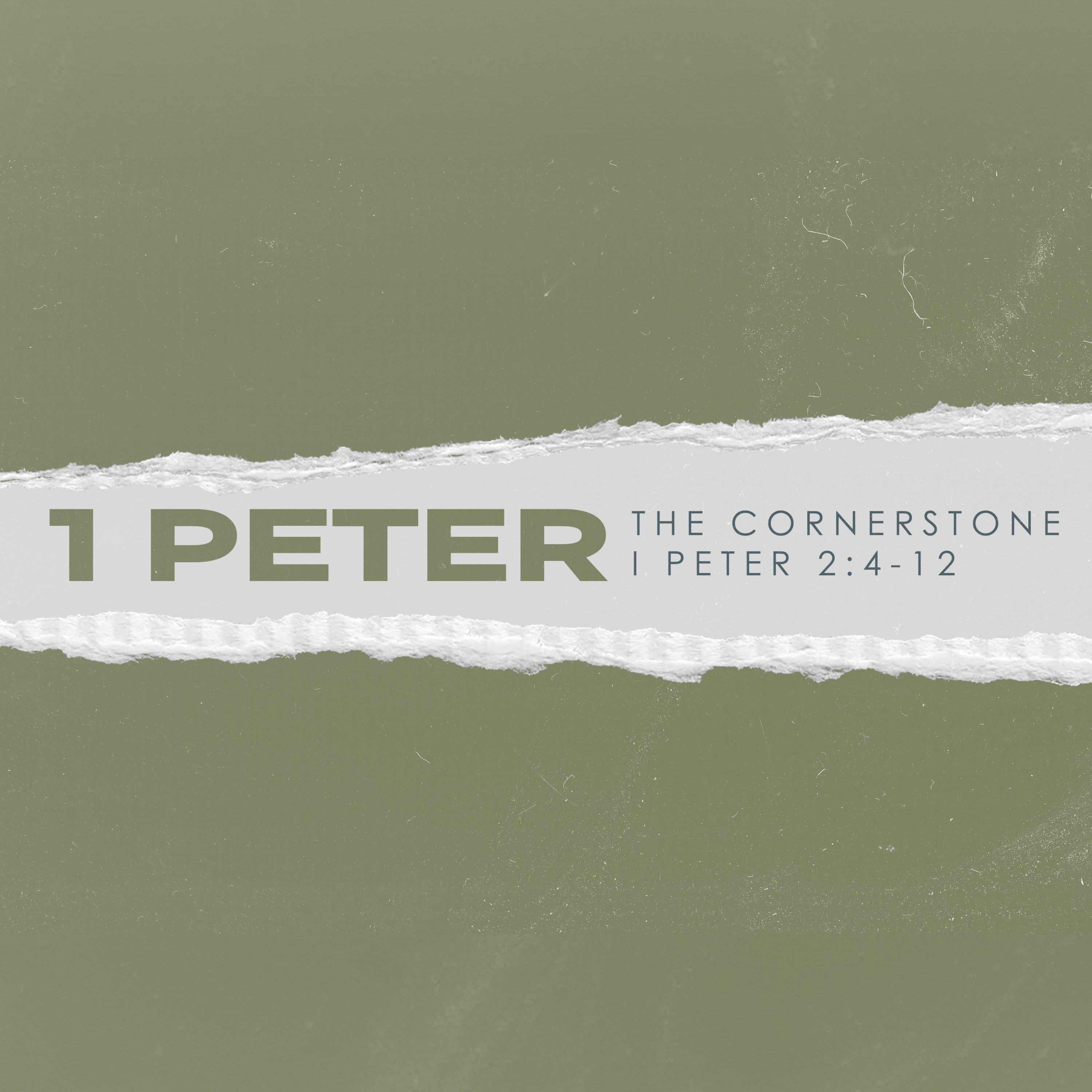 I Peter Part VI: Follow in His Steps | September 15th episode artwork