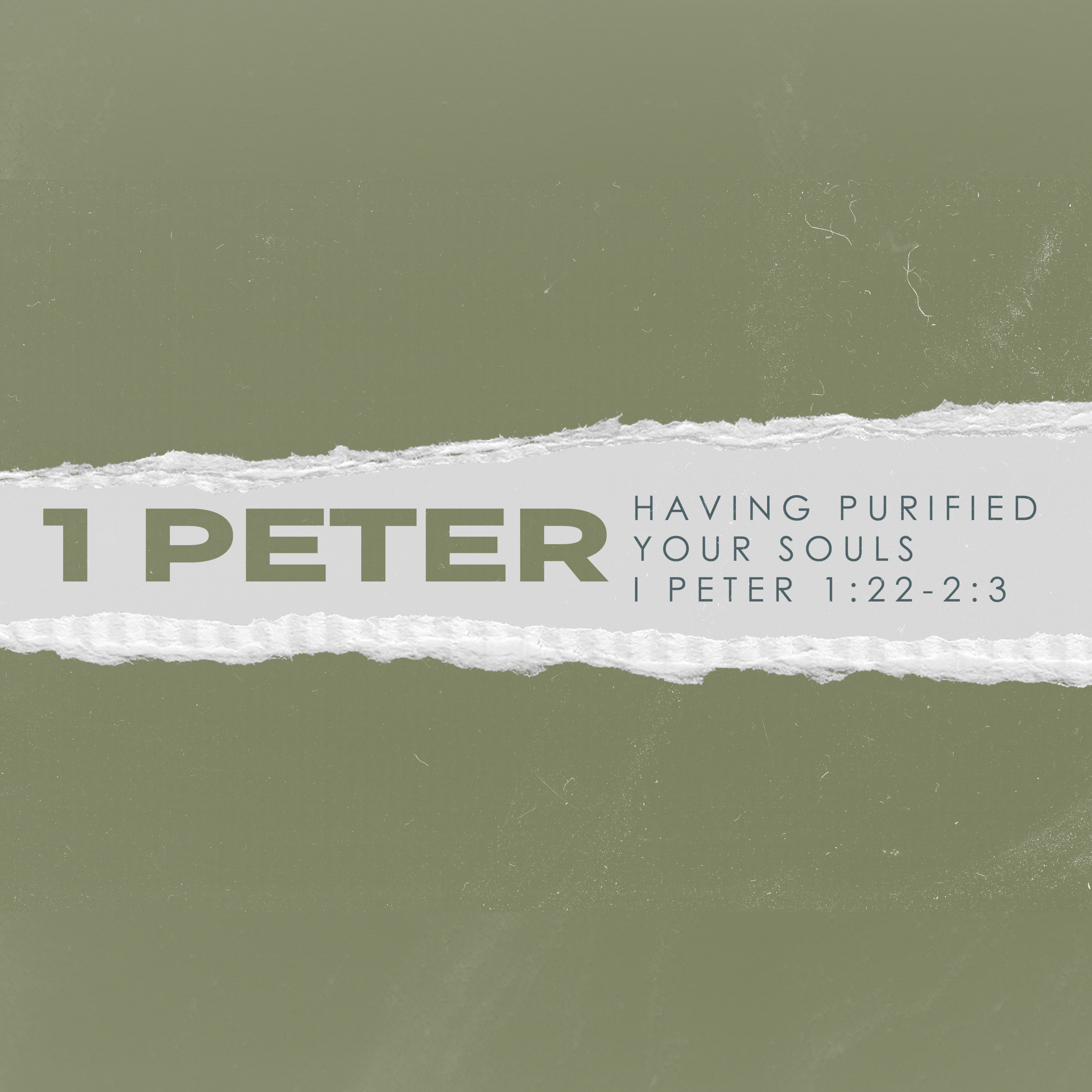 I Peter Part IV: Having Purified Your Souls | September 1st episode artwork