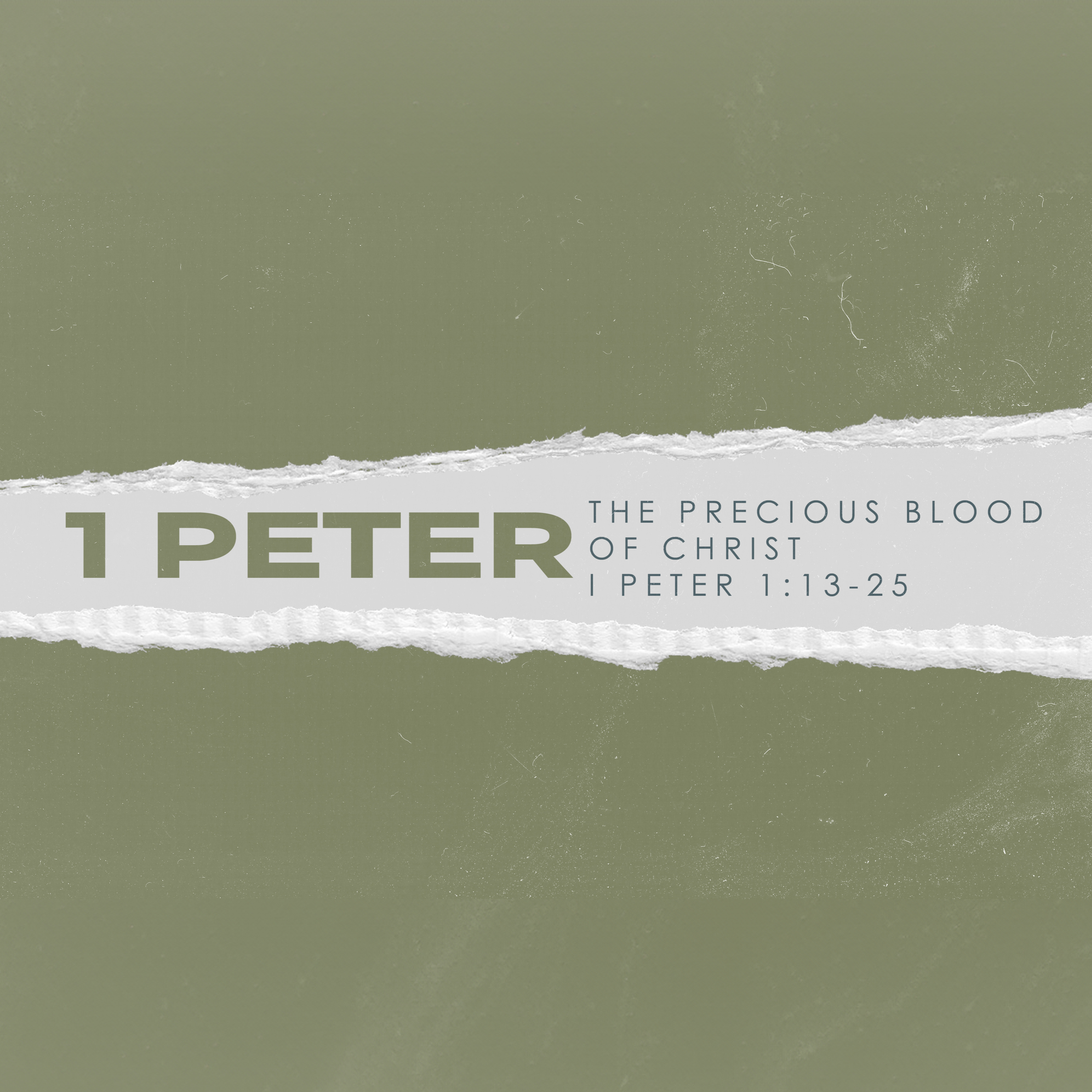 I Peter Part III: The Precious Blood of Christ | August 25th episode artwork