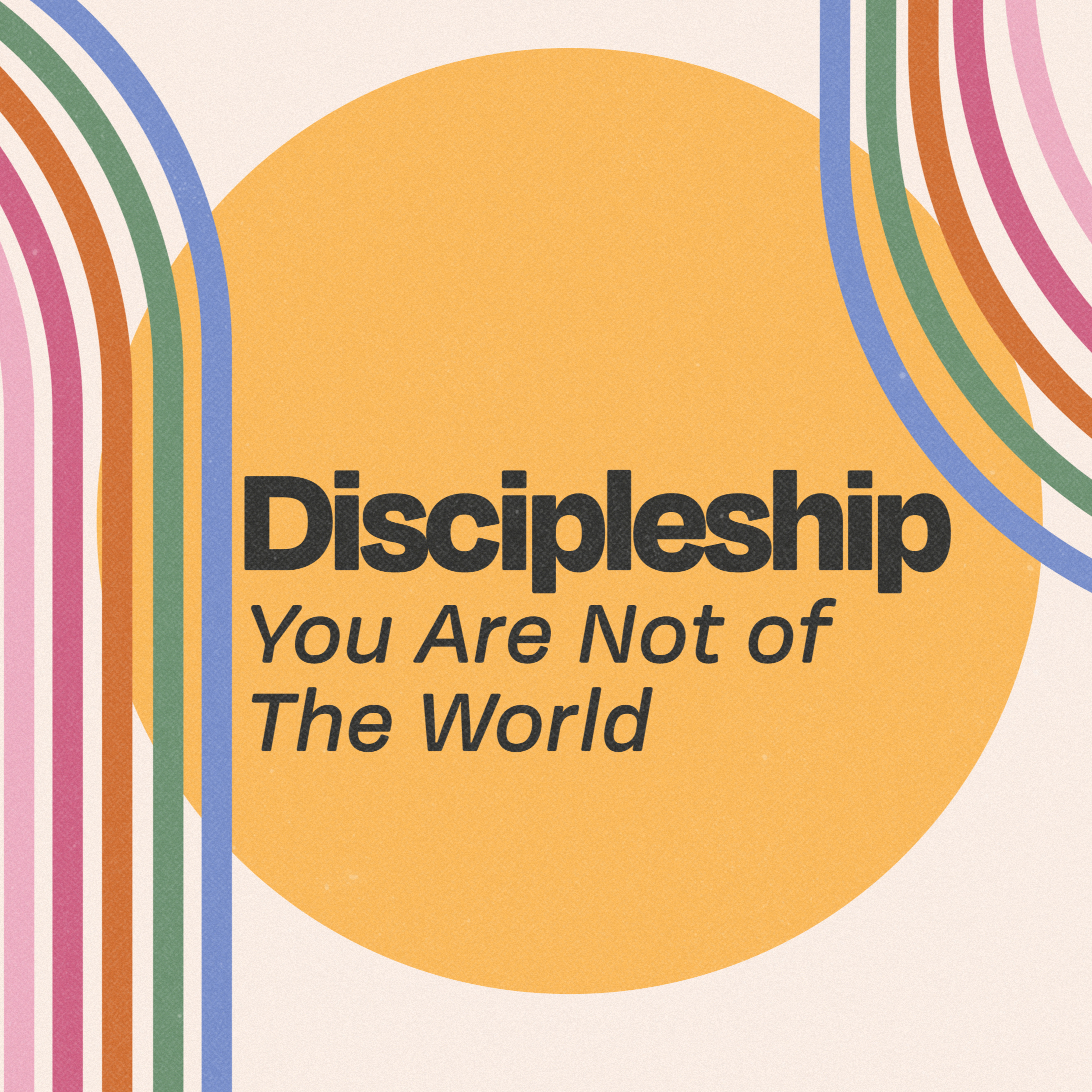 Discipleship Part VIII: You Are Not of The World episode artwork