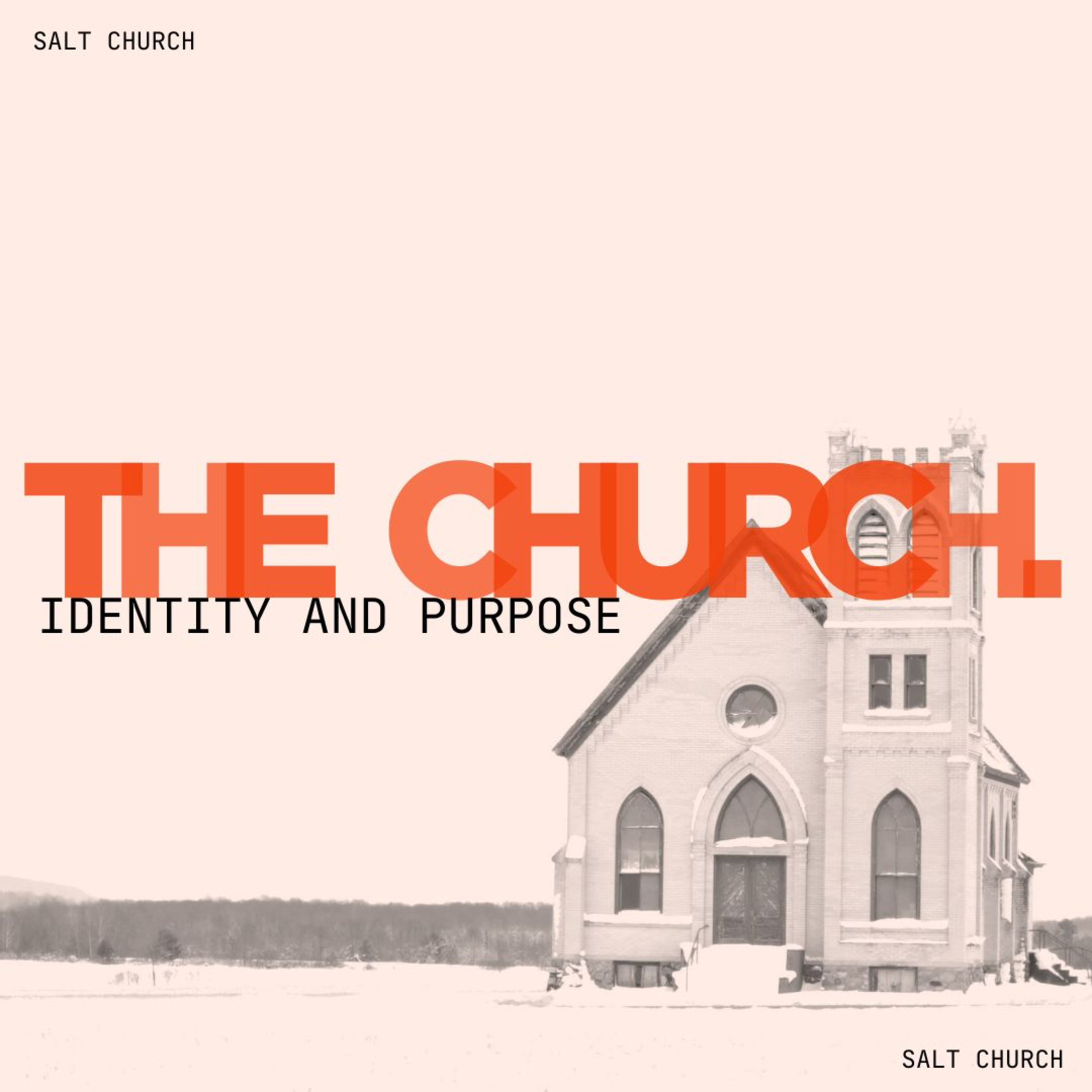 THE CHURCH | 1 Peter 2:4-10 episode artwork