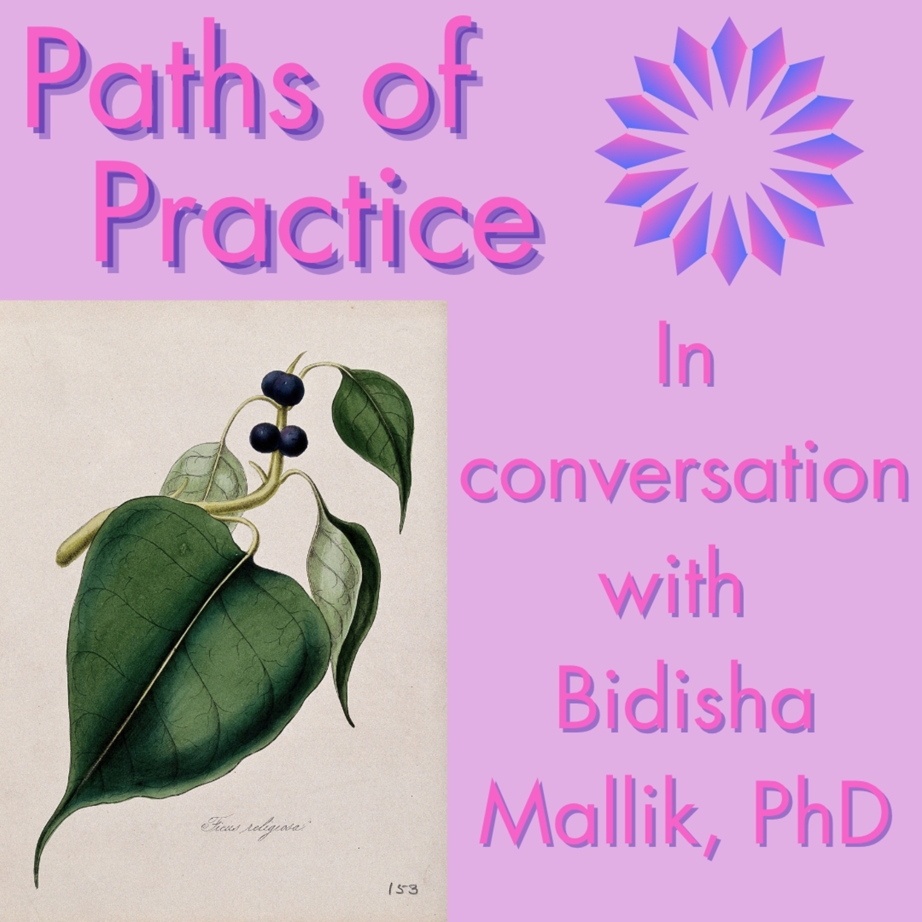 Paths of Practice with Bidisha Mallik, PhD episode artwork
