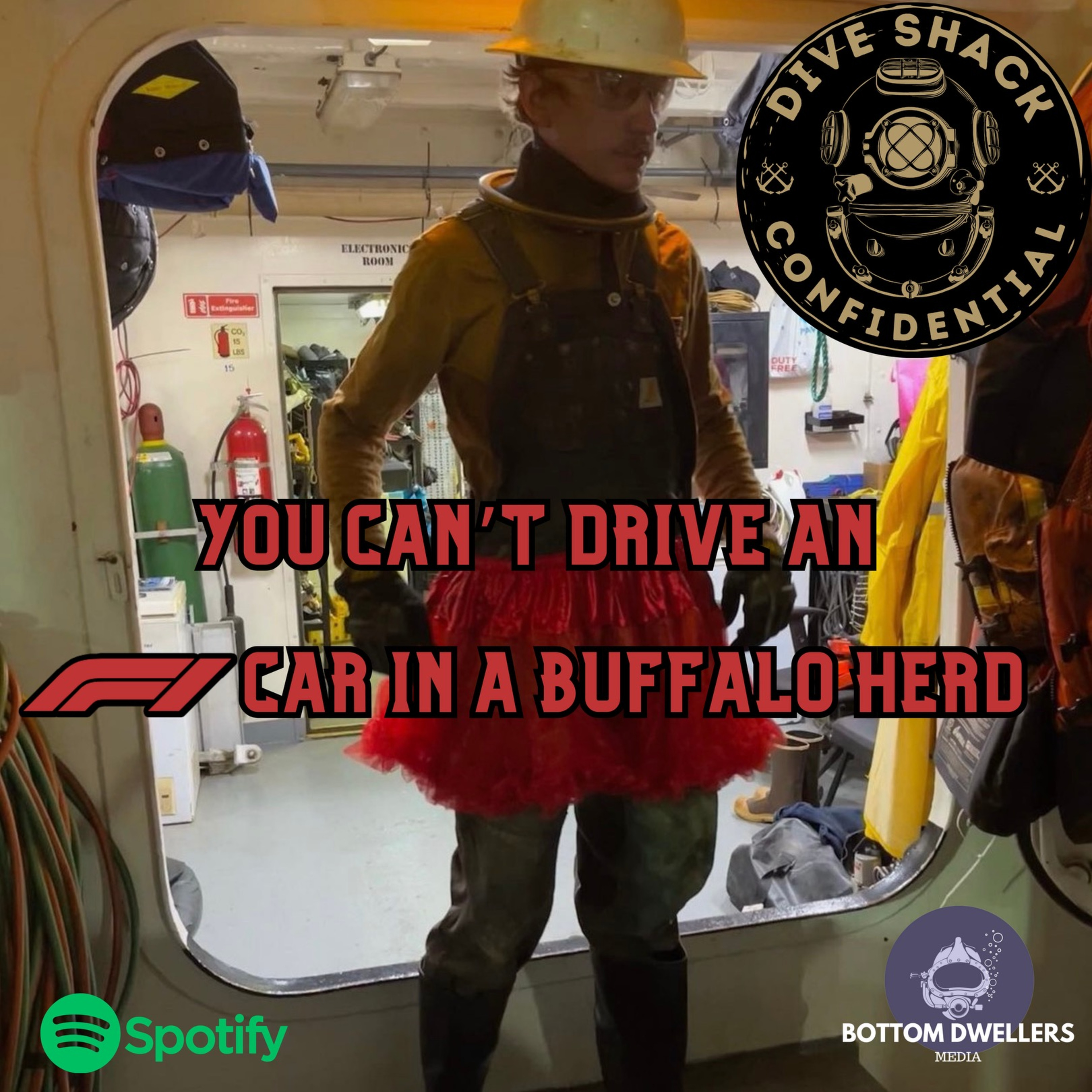 Dive Shack Confidential