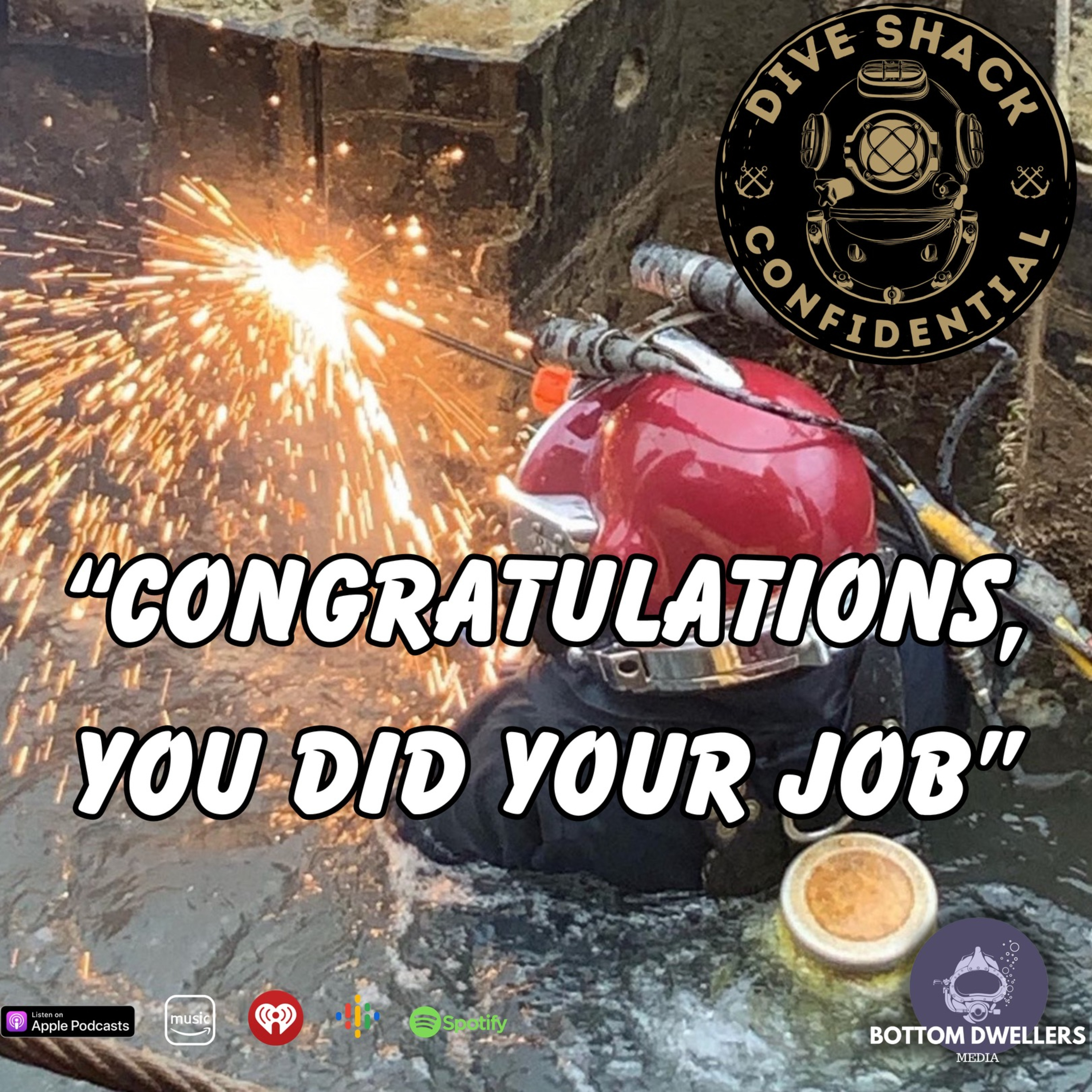 Congratulations, You Did Your Job episode artwork