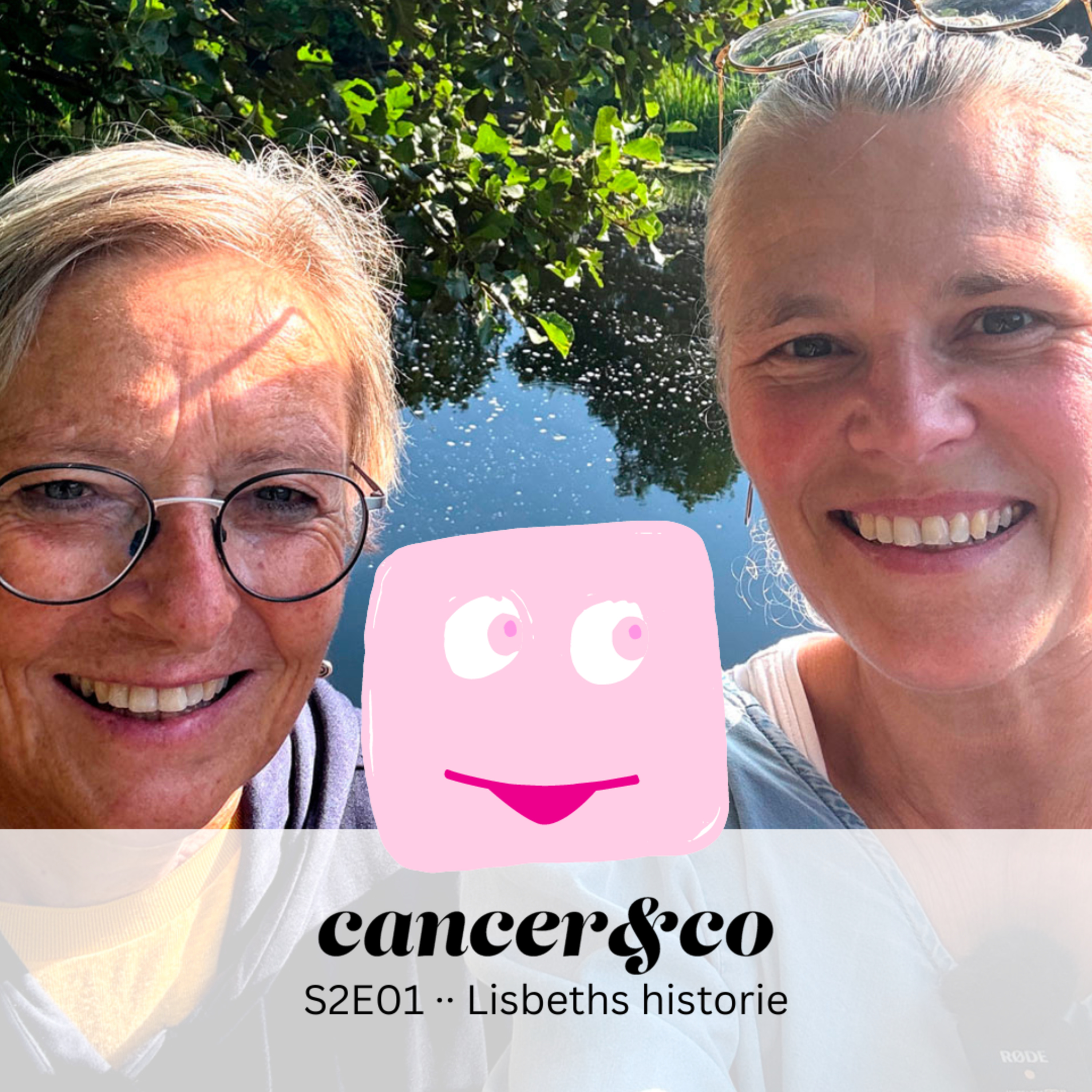 Artwork for cancer&co