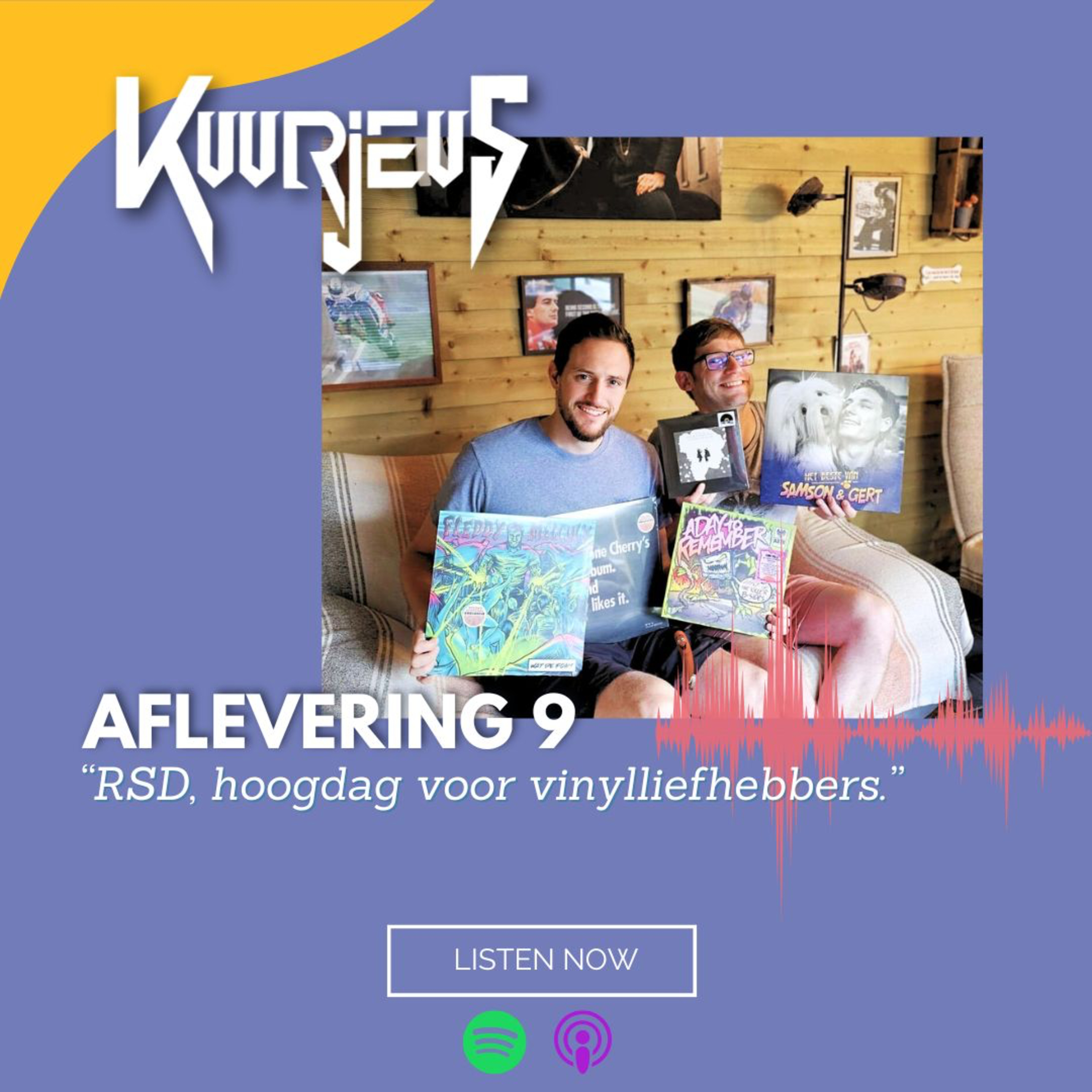 Aflevering 9: "RSD, hoogdag voor vinylliefhebbers" episode artwork