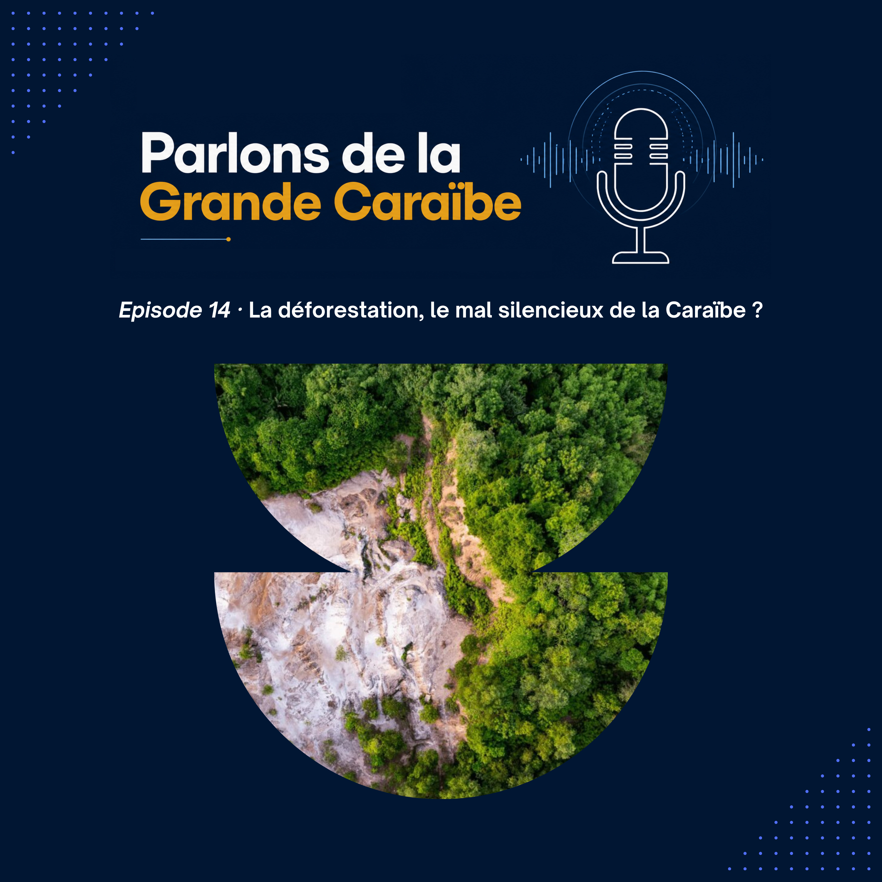 Épisode 14 - La déforestation, le mal silencieux de la Caraïbe ? episode artwork