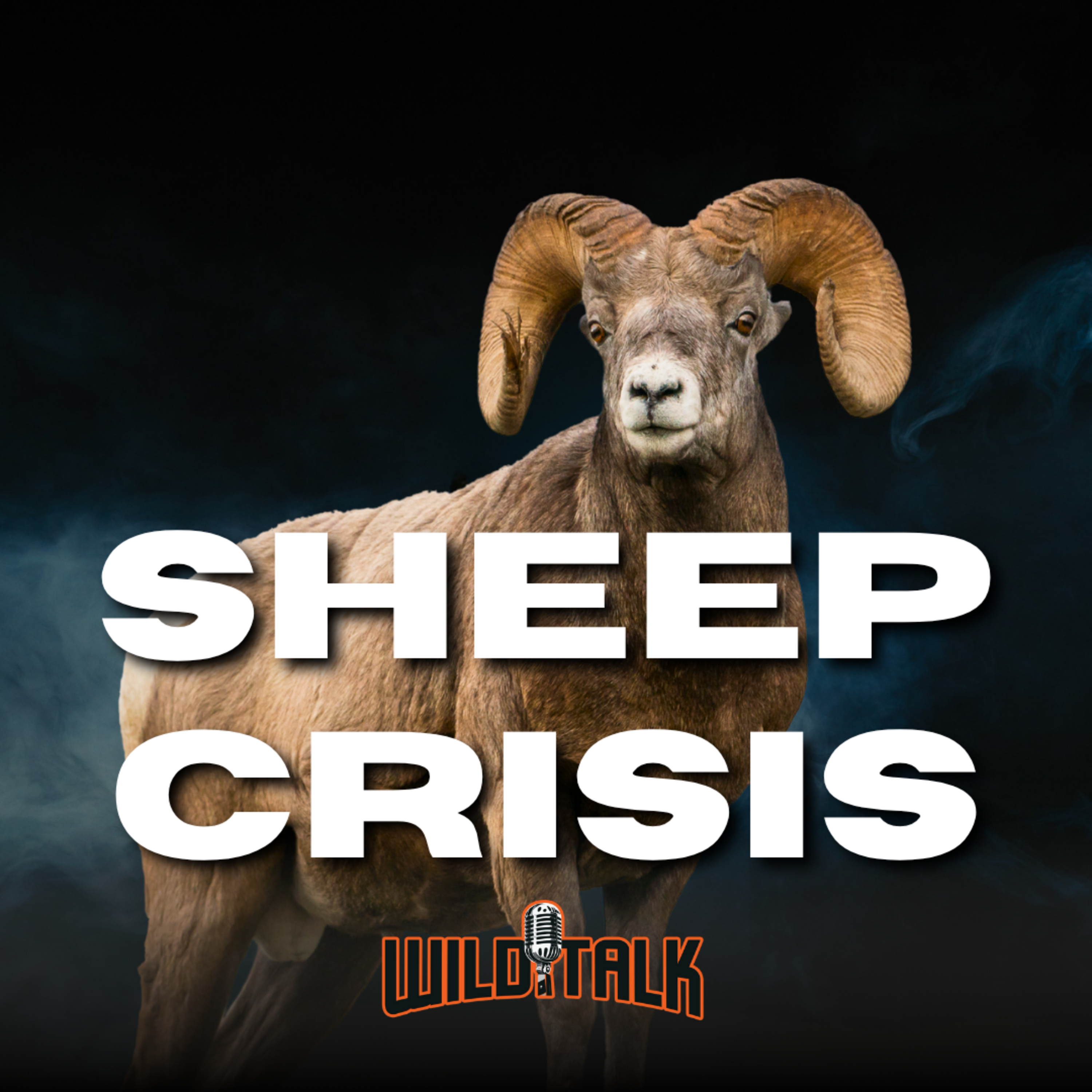 Protect the Future of BC Sheep Hunting w/ The Wild Sheep Society of BC | Wild Talk S4 Ep14 episode artwork