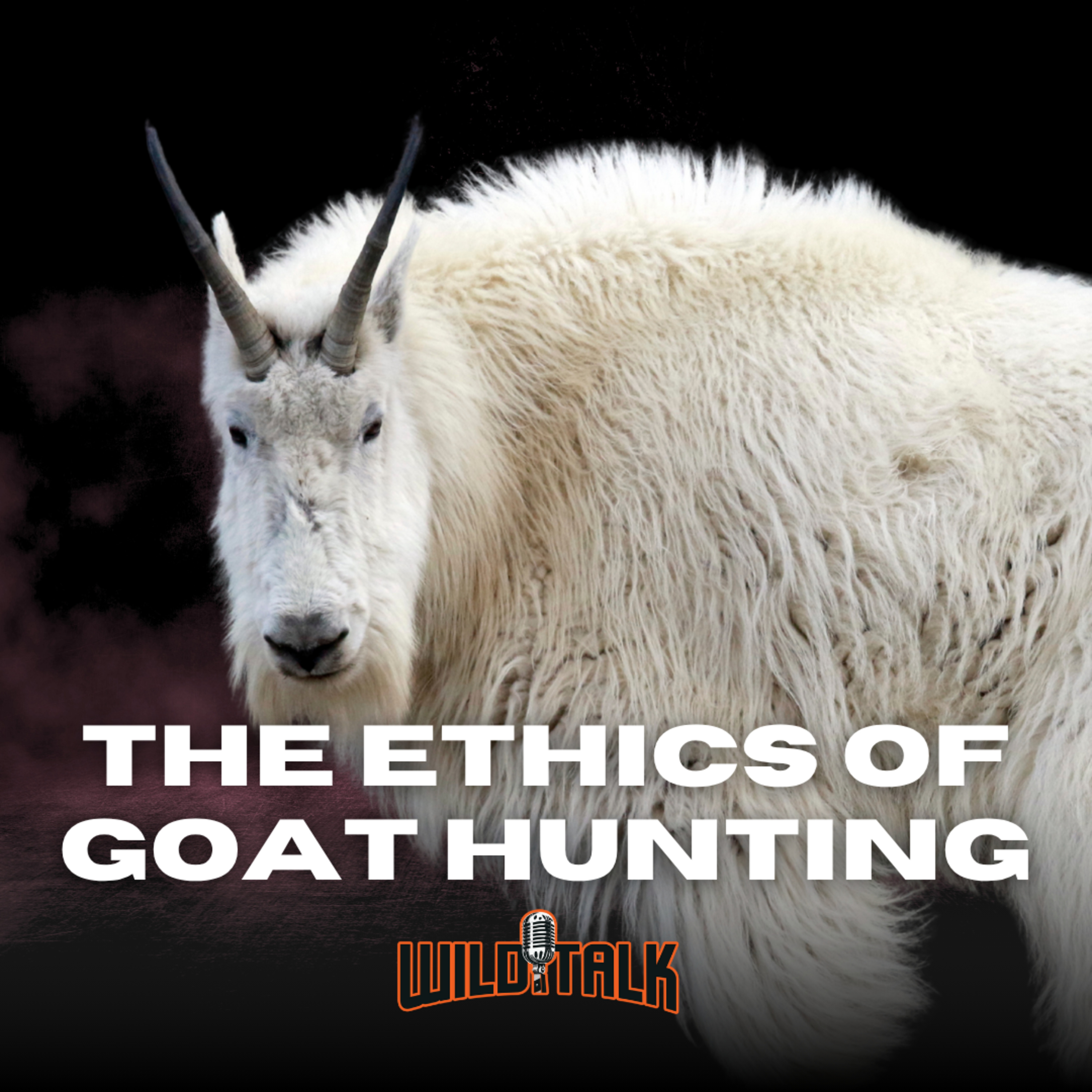 How to Ethically Goat Hunt w/ Rocky Mountain Goat Alliance | Wild Talk S4 Ep15 episode artwork