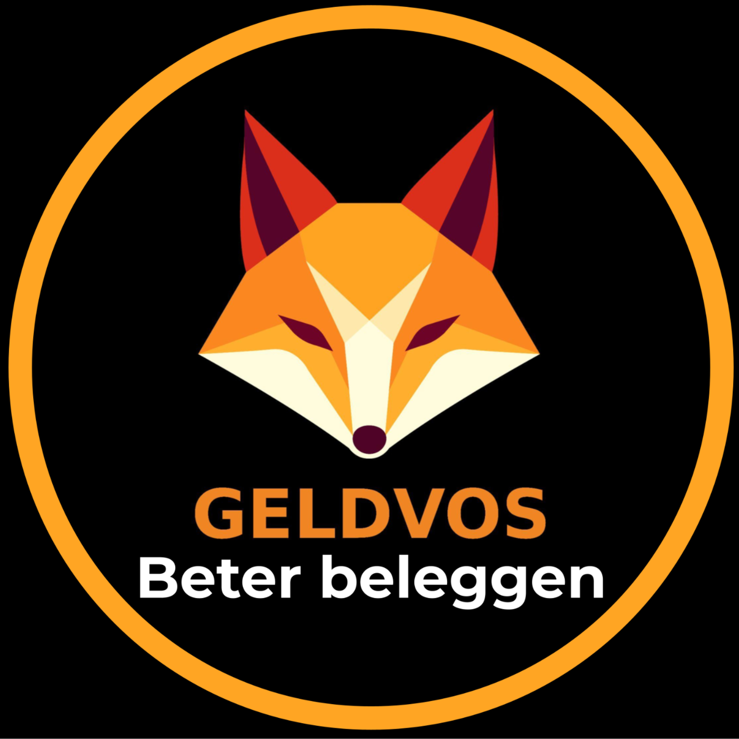 Geldvos - Beter beleggen