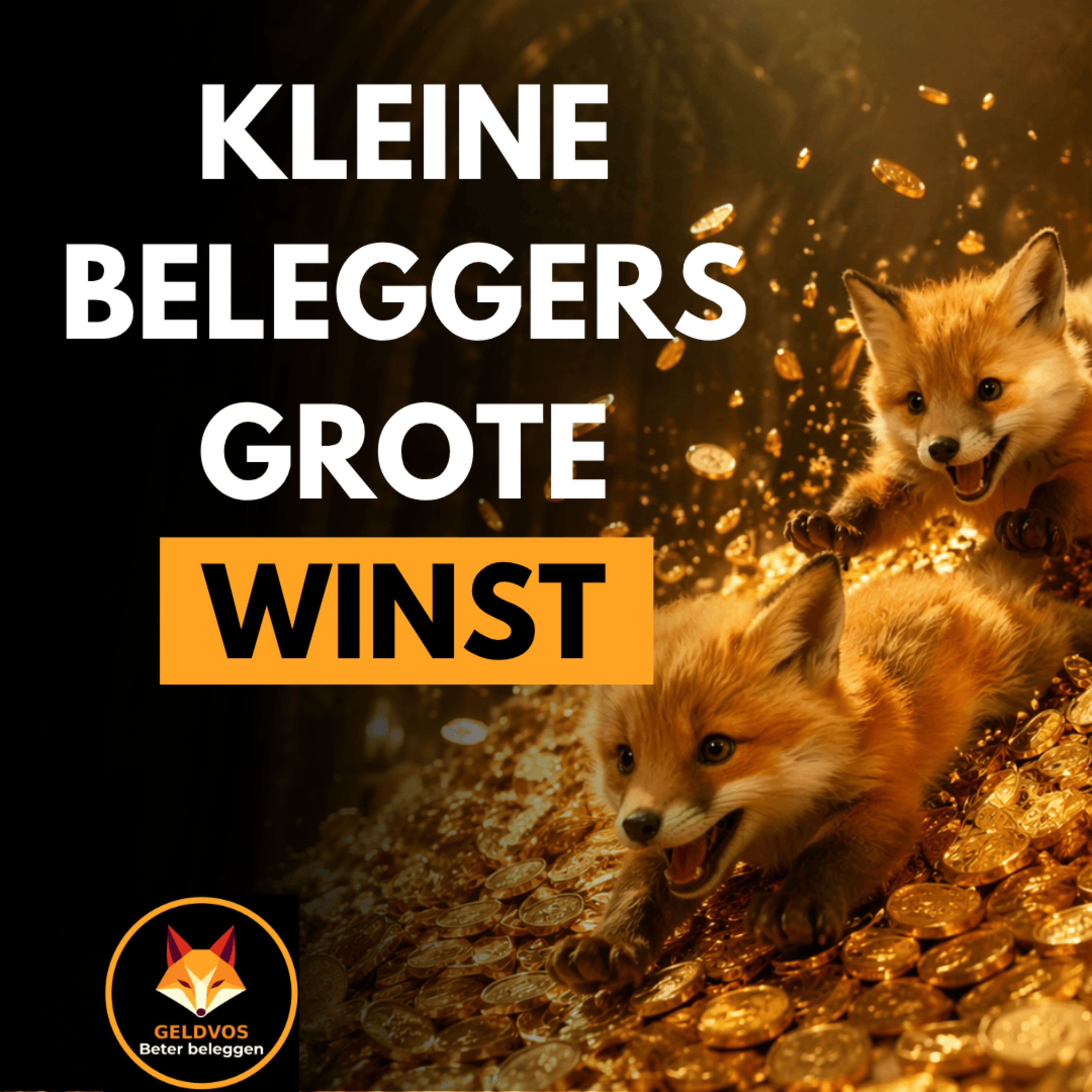 WINNEN als kleine belegger: 6 voordelen vs grote fondsen episode artwork