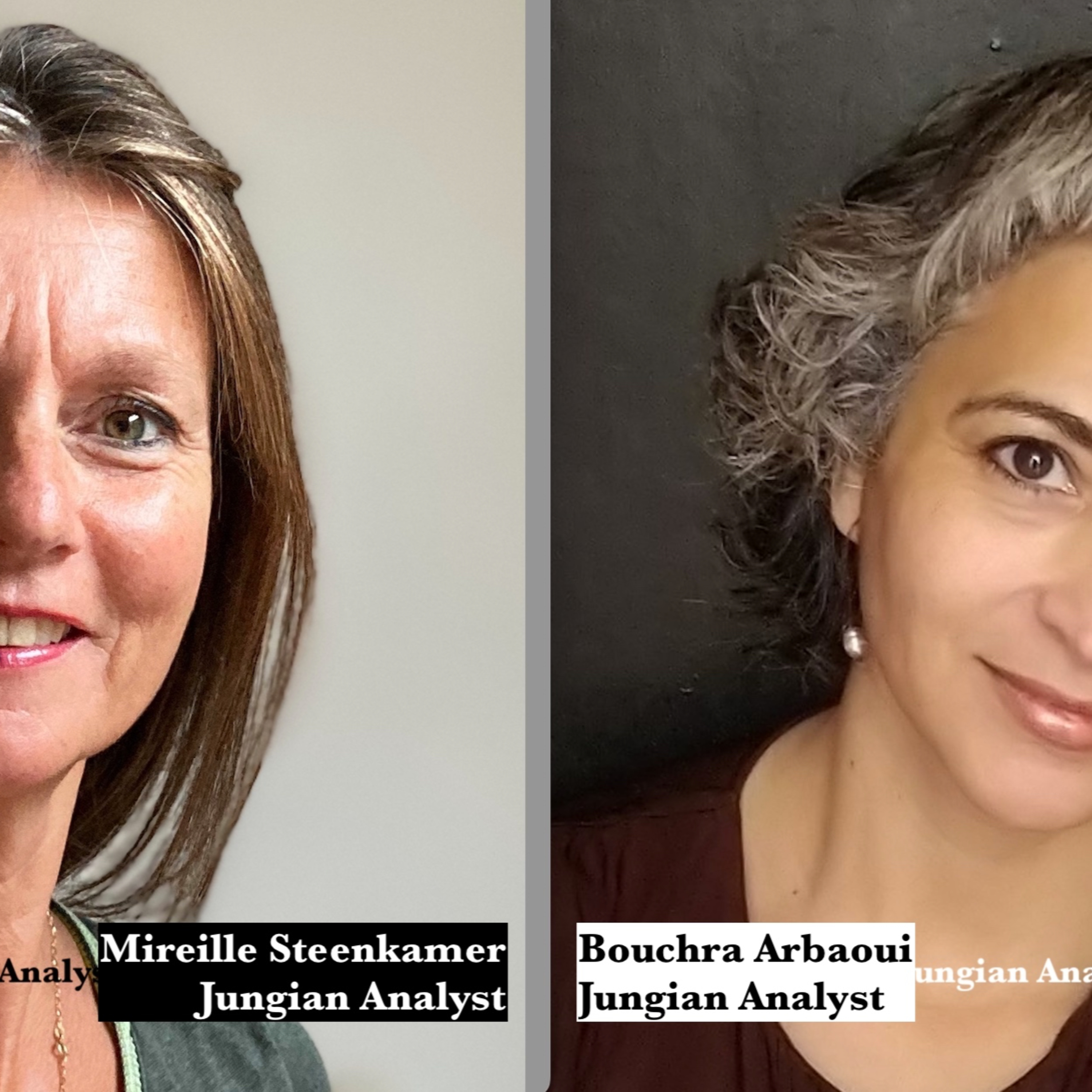 Mireille Steenkamer - Jungiaanse dieptetherapie | Jungian Analyst
