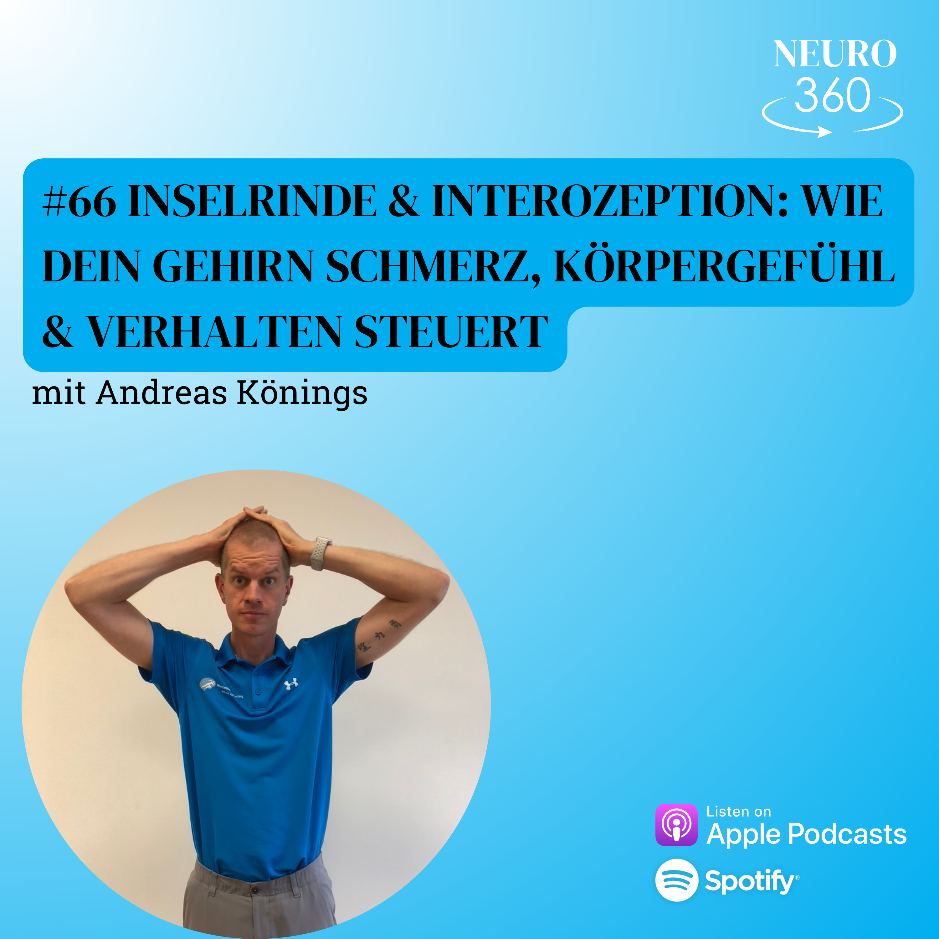 #66 Inselrinde & Interozeption: Wie dein Gehirn Schmerz, Körpergefühl & Verhalten steuert episode artwork