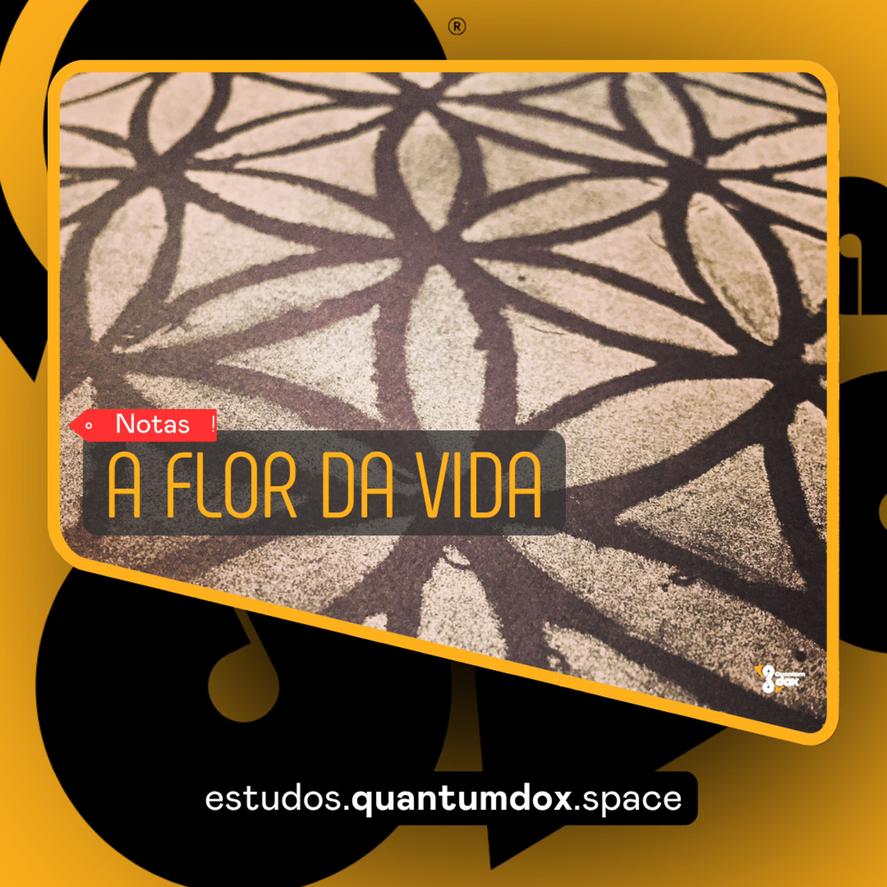 ⚛️ A Flor da Vida: O Segredo Universal episode artwork