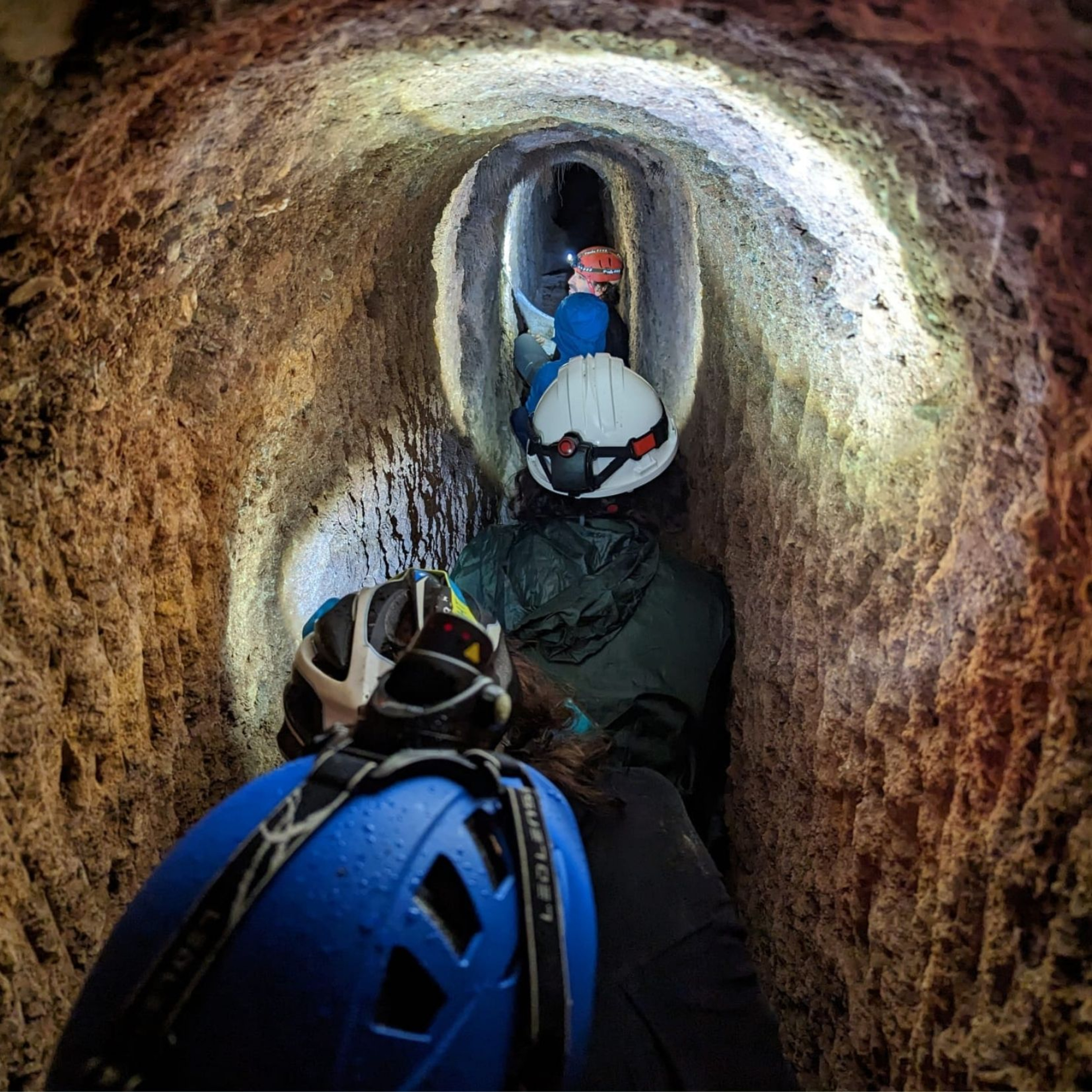 Descobrint Collserola
