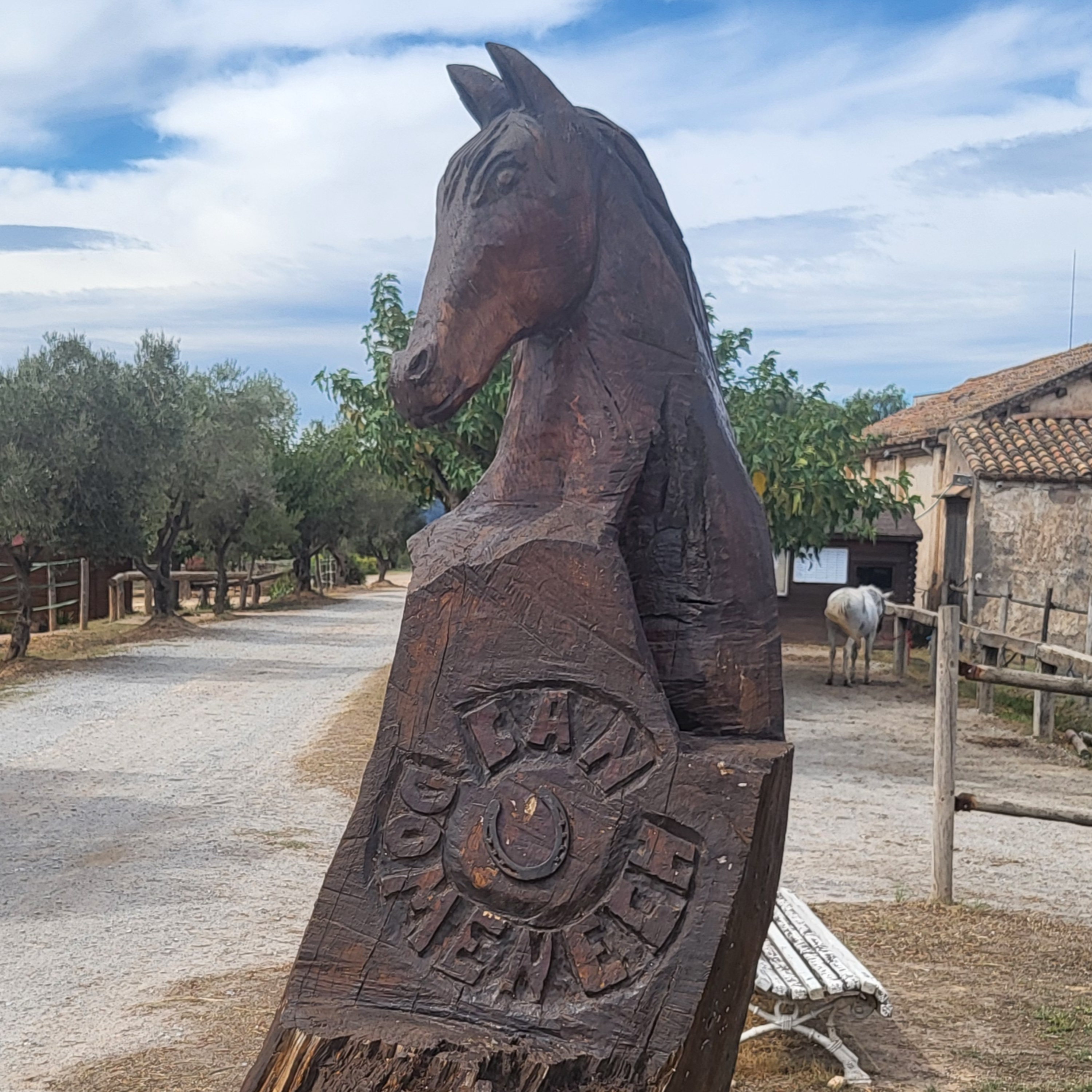 Descobrint Collserola