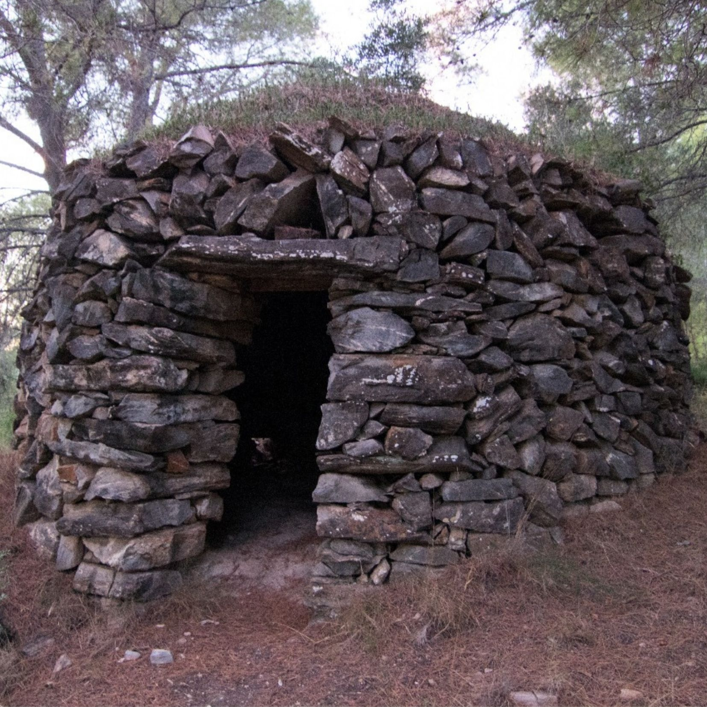 Descobrint Collserola