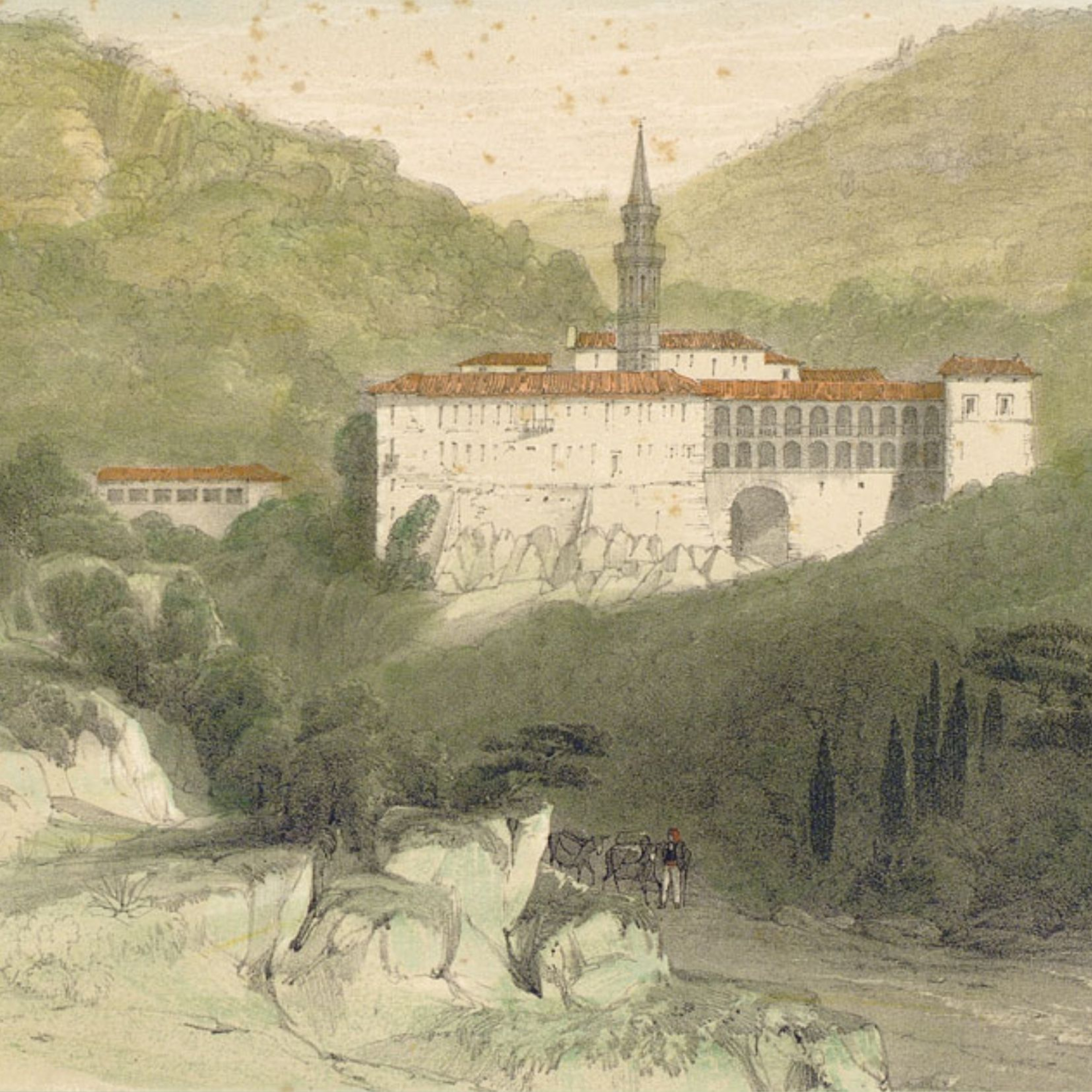 Descobrint Collserola