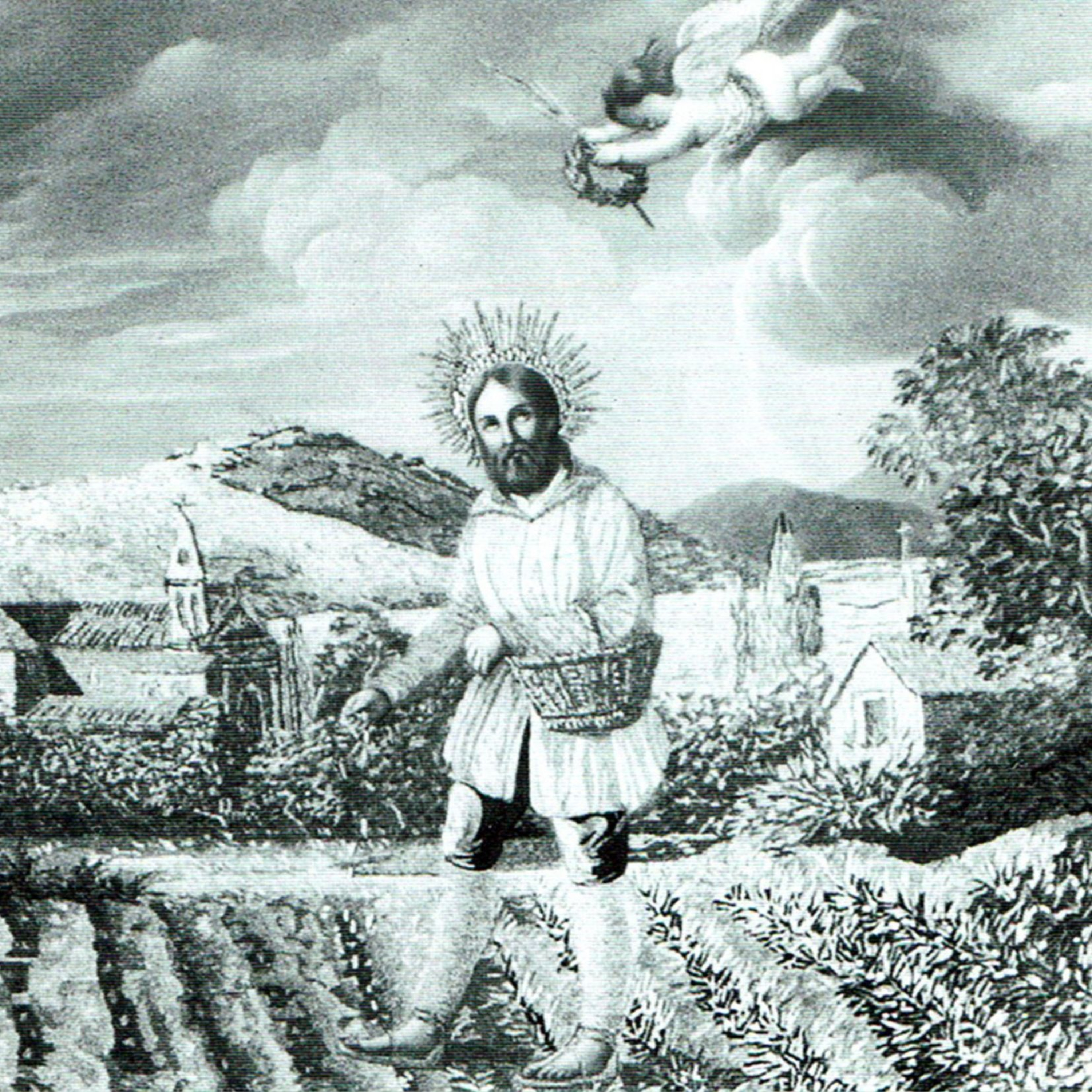 Descobrint Collserola