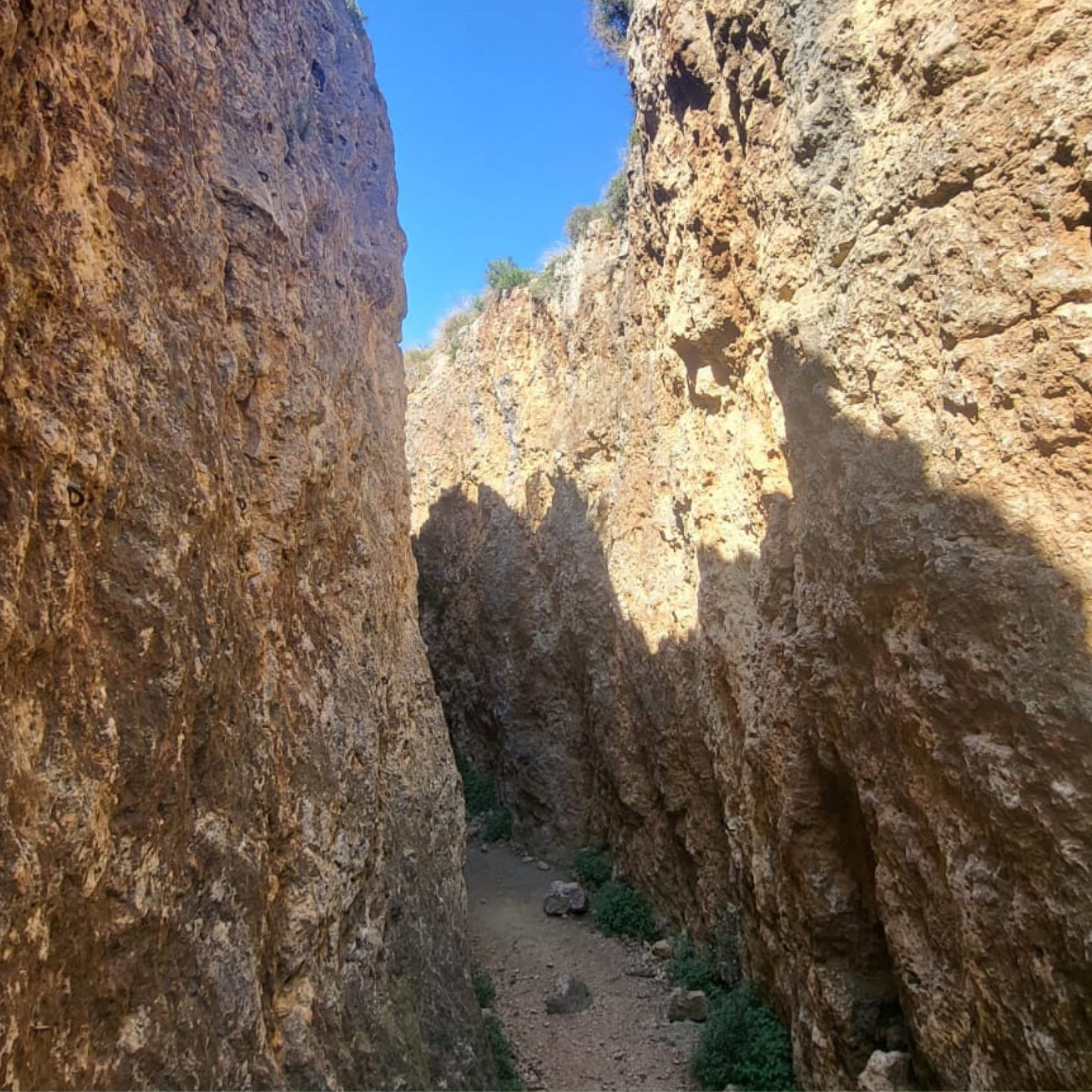 Caràtula