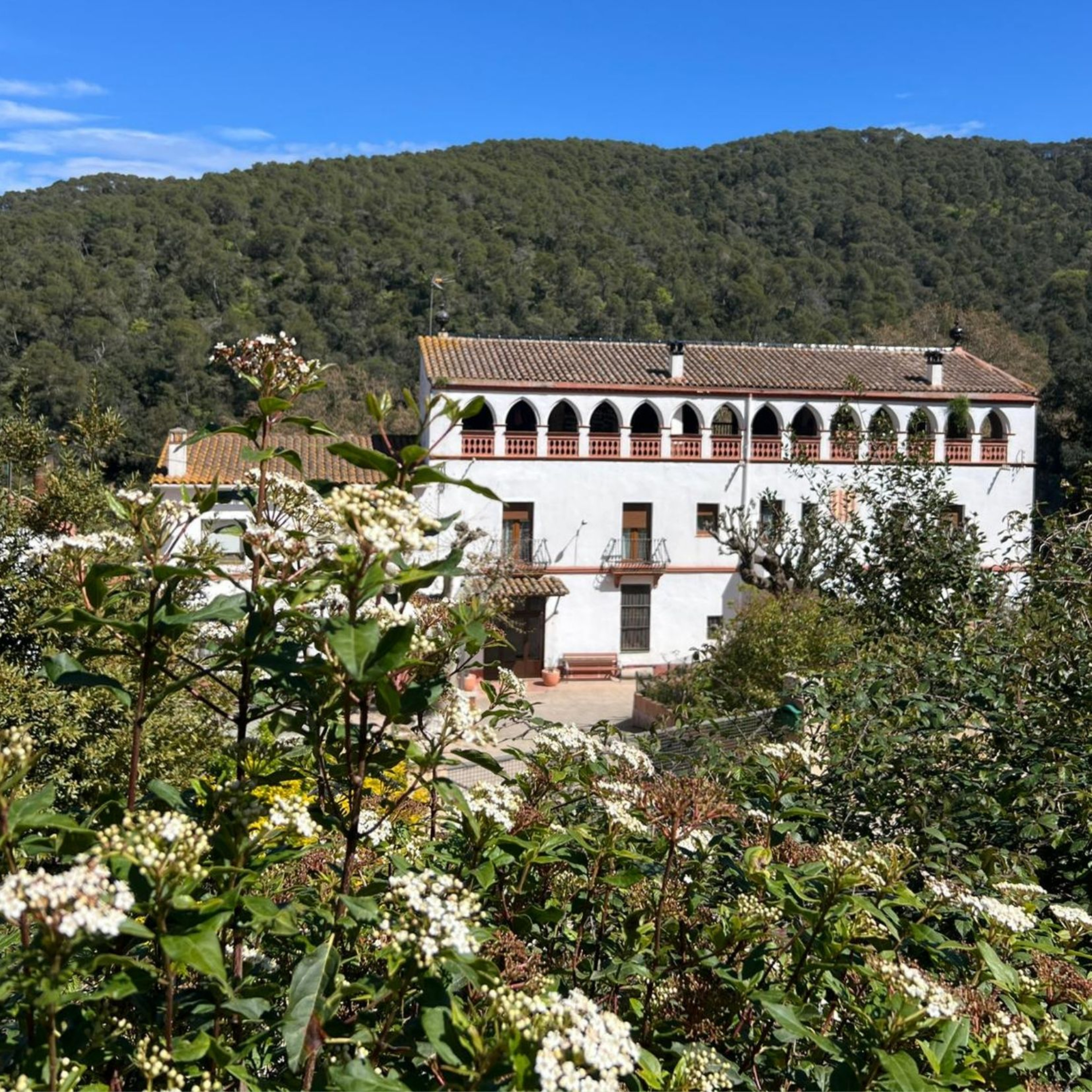 Caràtula