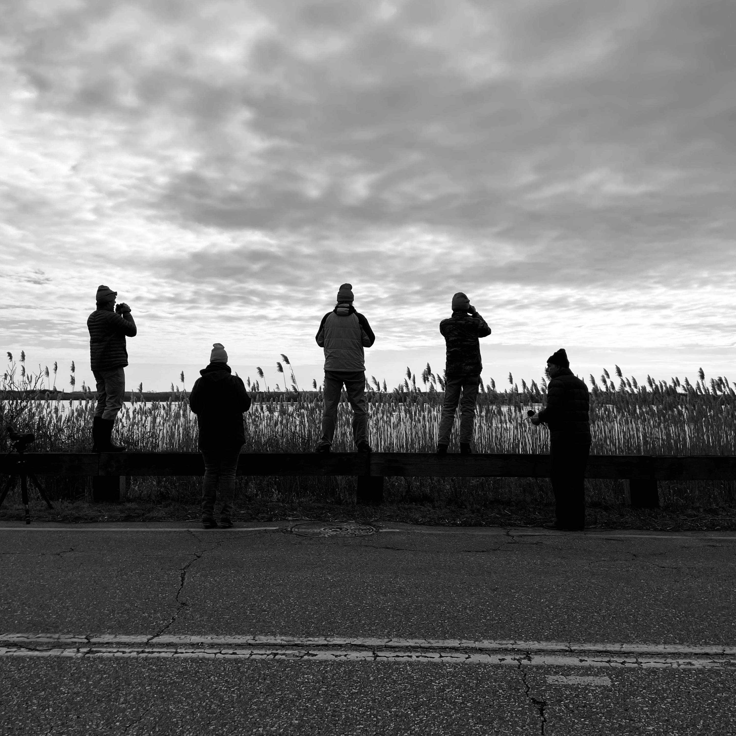 Counting Waterfowl with Wildlife Biologist, Jenny Kilburn episode artwork