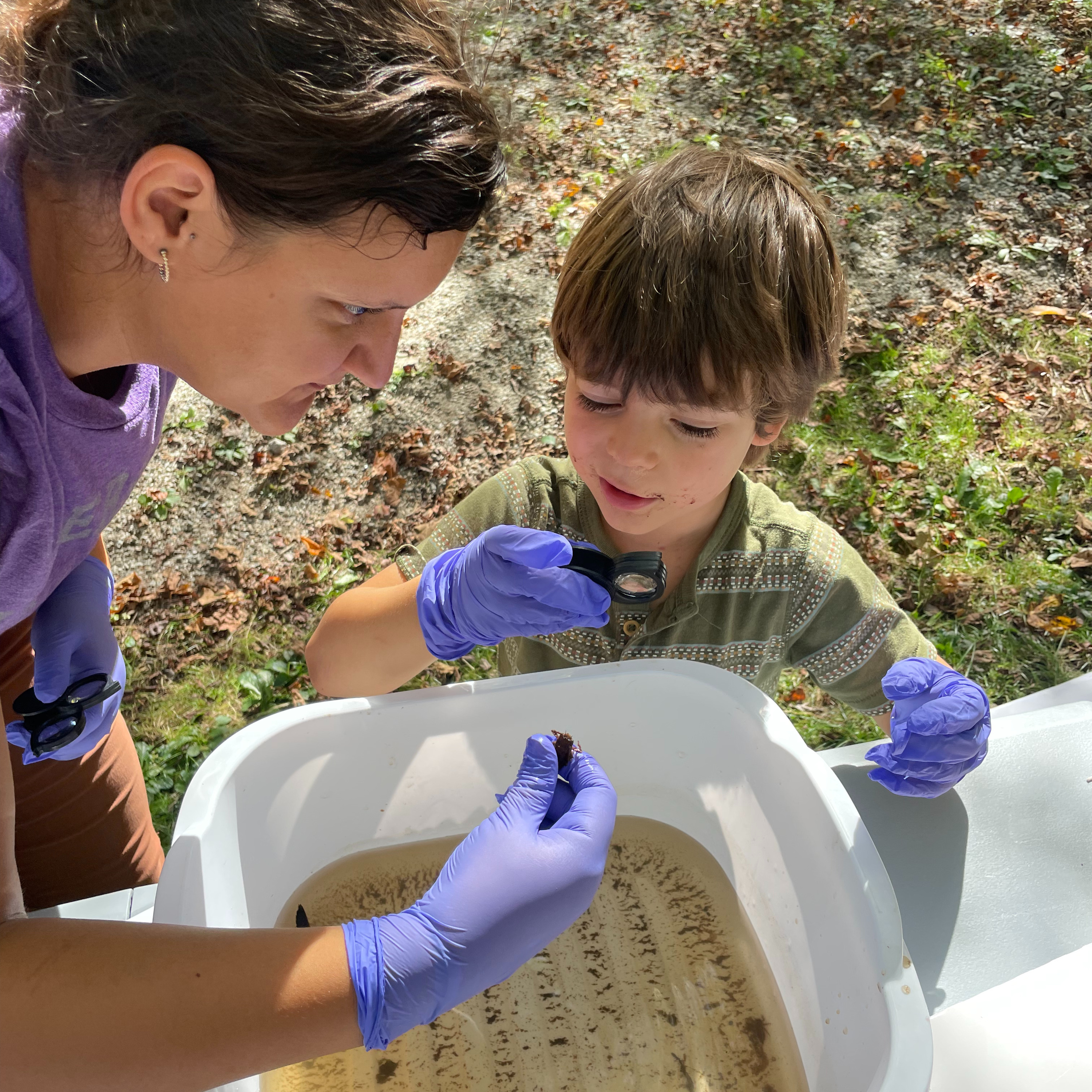 Dragonfly Nymphs and the National Park Service at Mastuxet Brook episode artwork