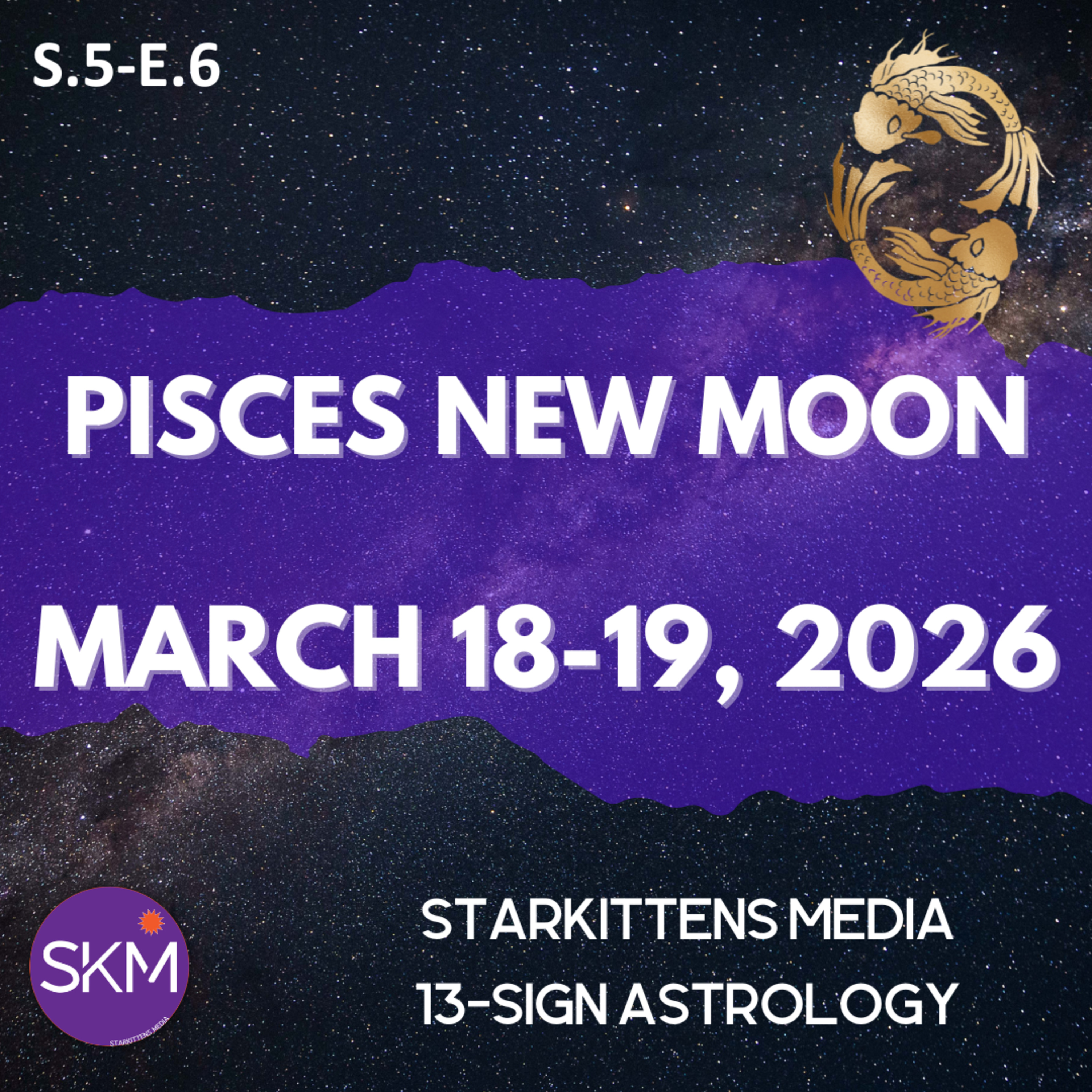 The Pisces Melting Pot: Navigating the Great Dissolution and the First Turning. March 18-19, 2026.