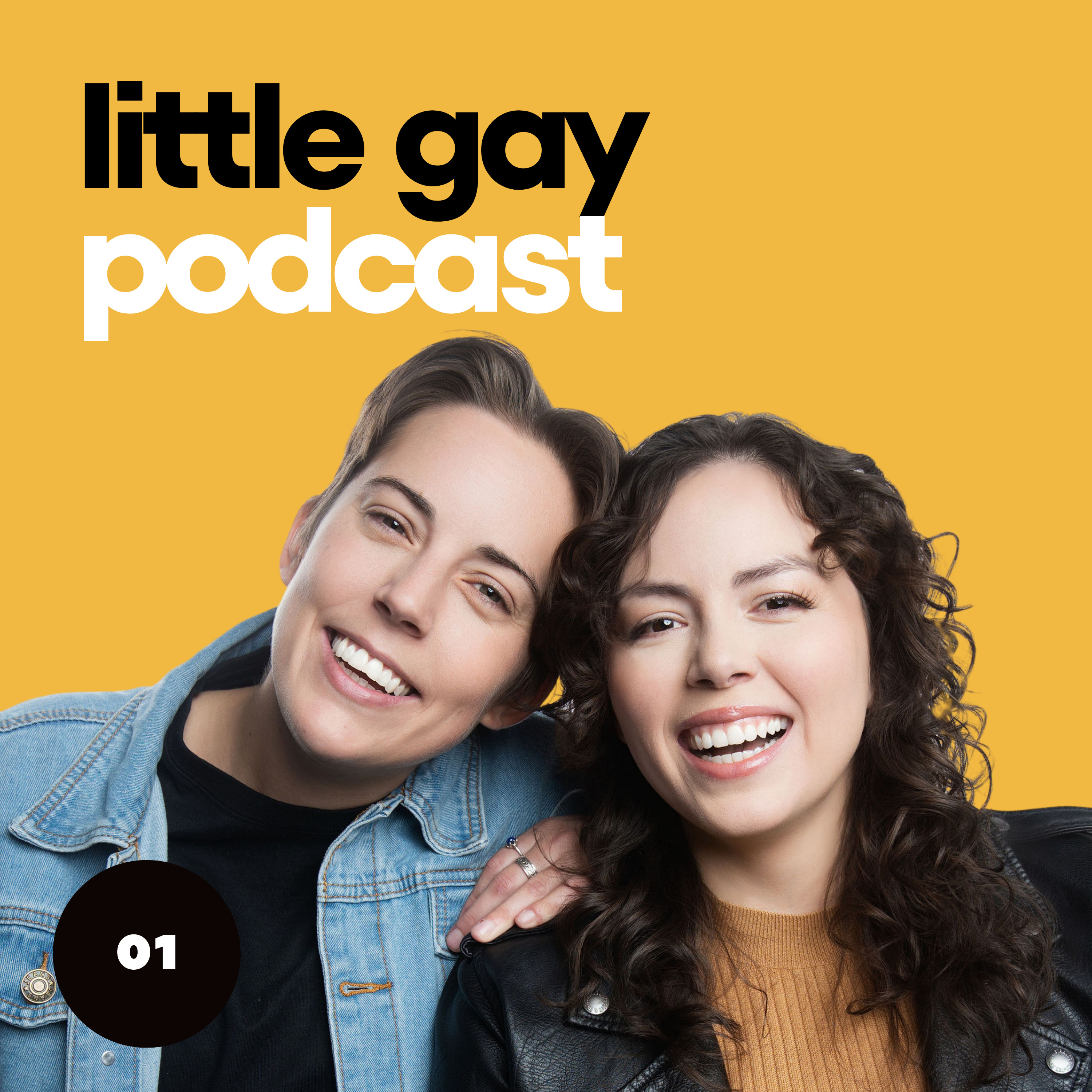 Little Gay Podcast