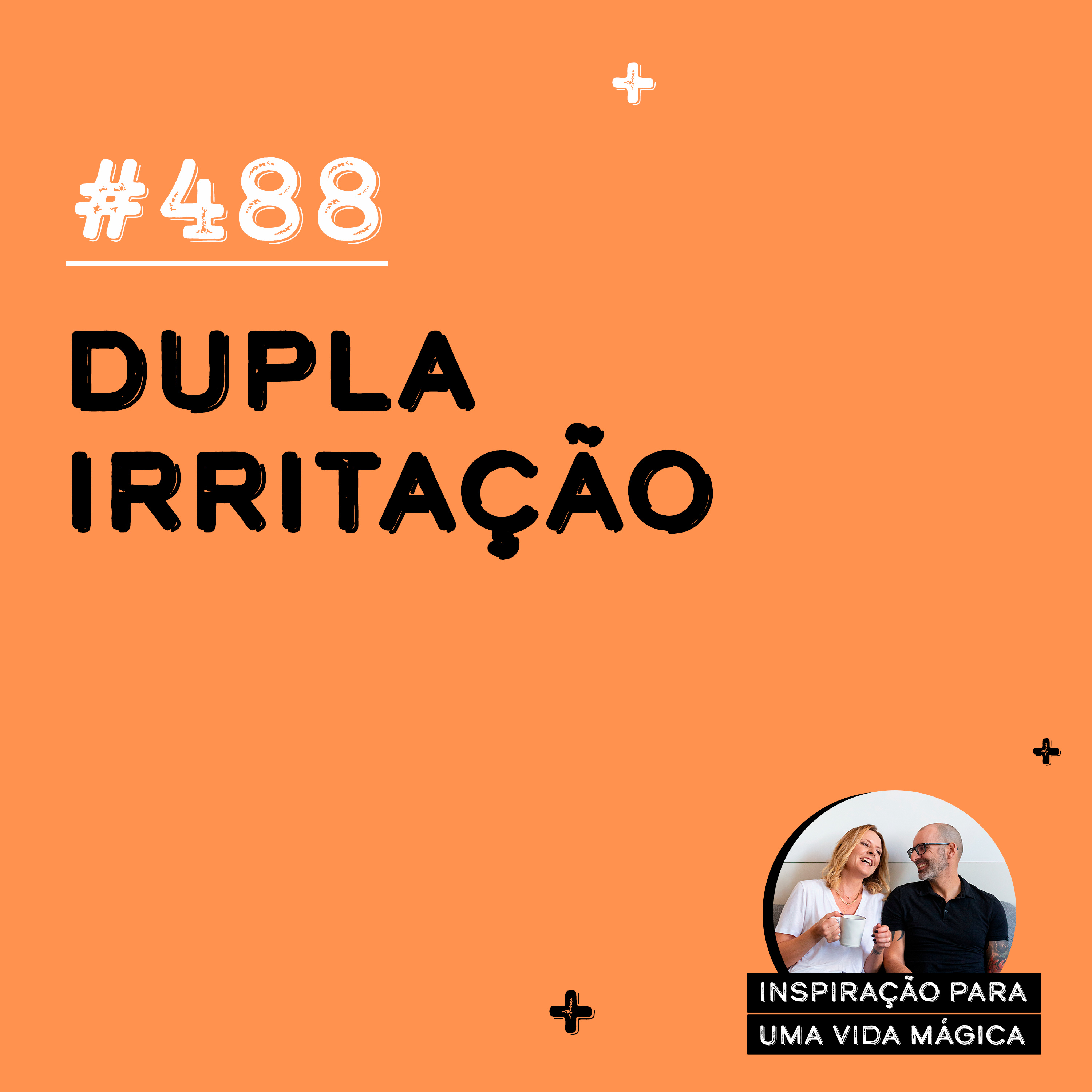 #488 - Dupla irritação